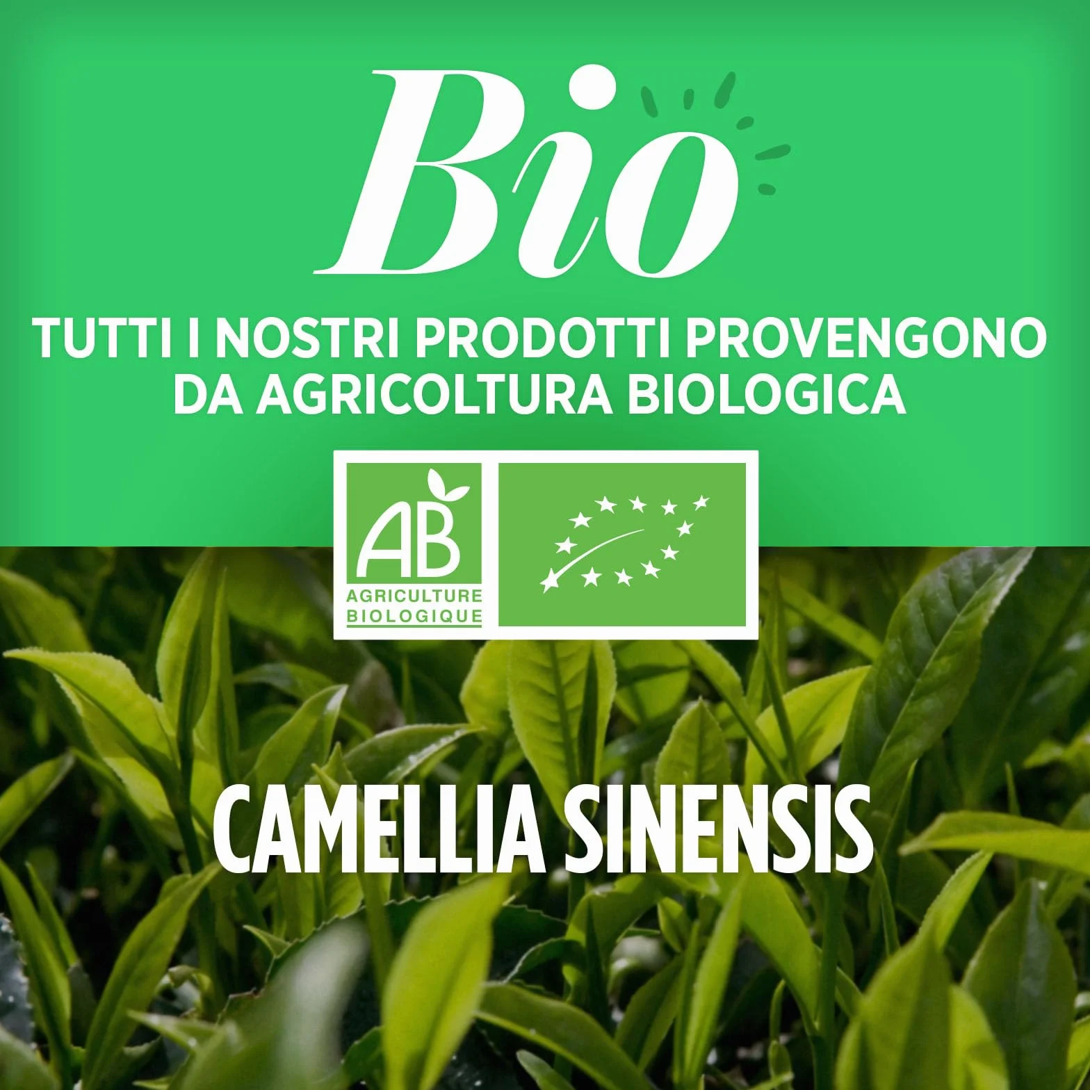 Tè Verde Bio - 400 mg - 200 Compresse