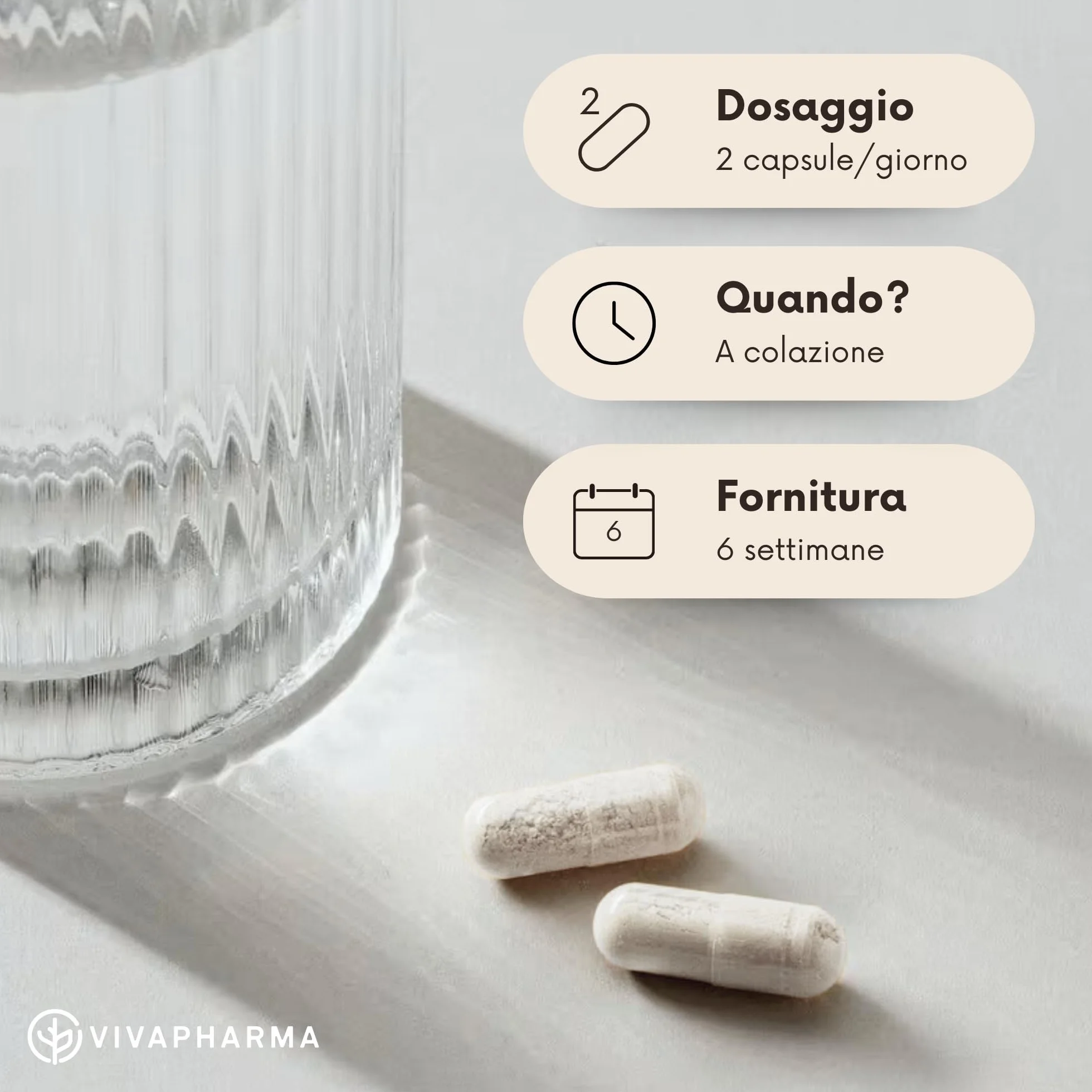 Nootropico Naturale 90 capsule Ginkgo Biloba Bacopa Monnieri Integratore Memoria Concentrazione Made in Italy