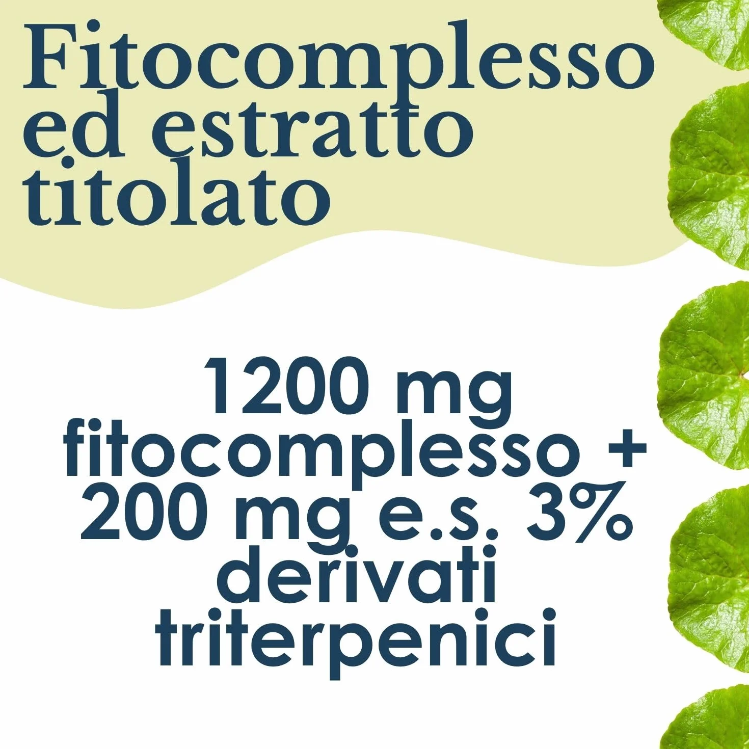 ERBEX Centella Asiatica 100 Capsule Doppia Formula Totum + Estratto Titolato Integratore Drenante Naturale