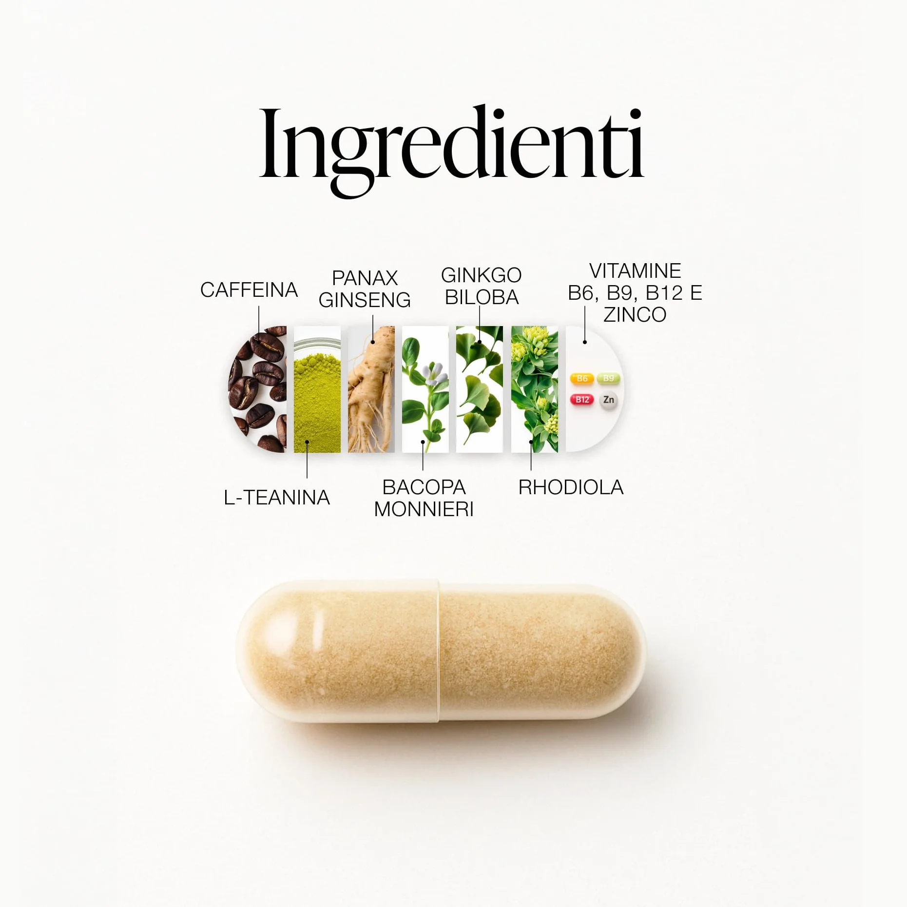 ZZEN FOCUS Nootropico Naturale Integratore Stanchezza Energia Concentrazione Memoria 60 Capsule