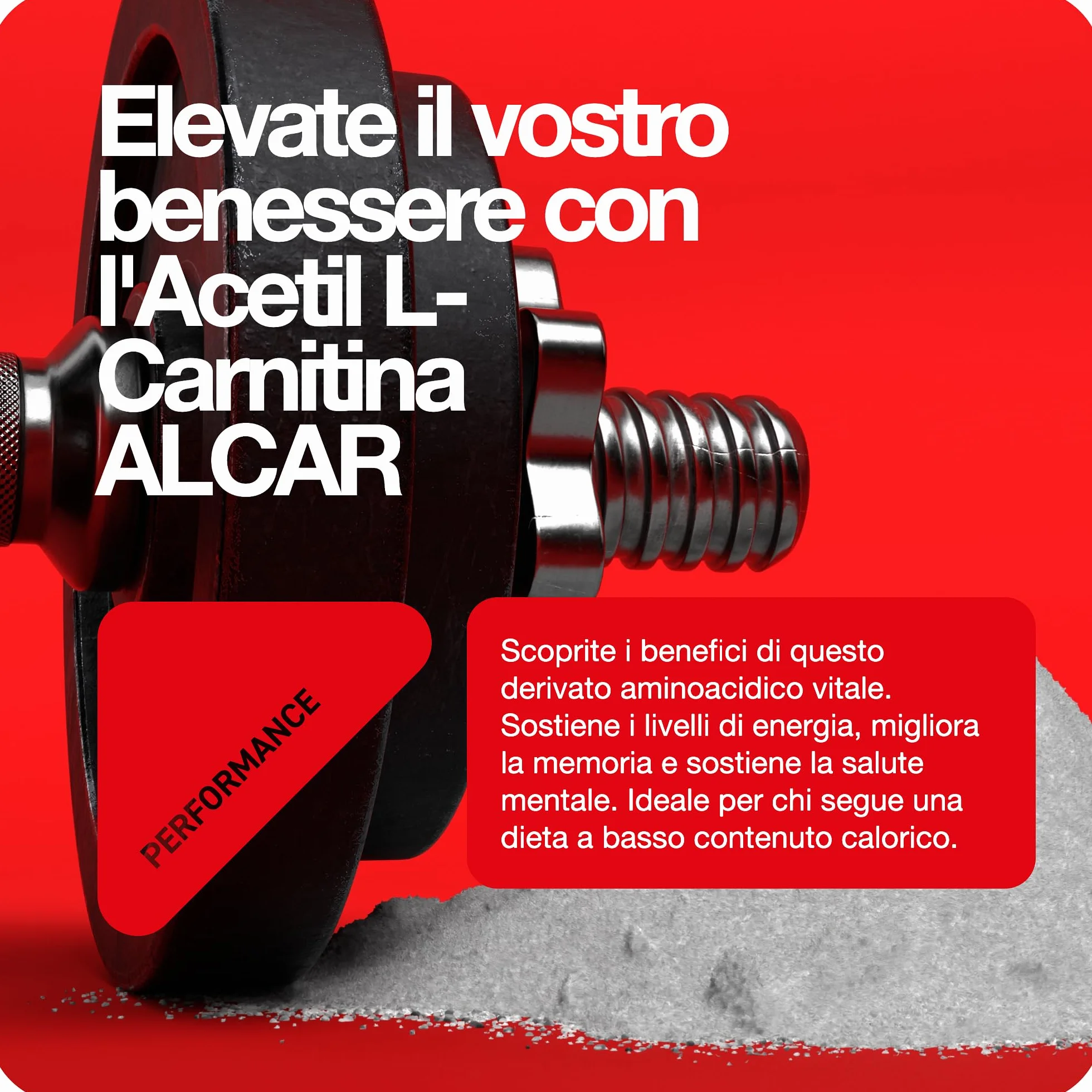 Acetil L Carnitina ALCAR in polvere - Migliora il livello di energia e favorisce le prestazioni negli esercizi.