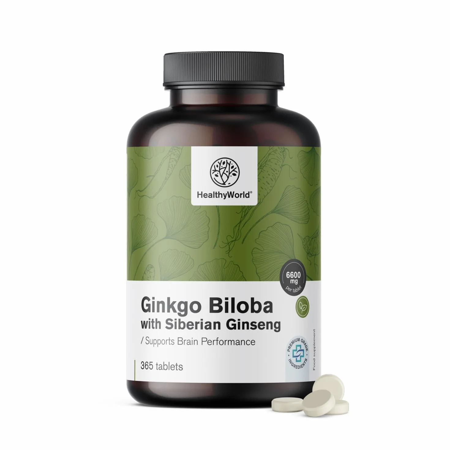 HealthyWorld Ginkgo Biloba con Ginseng siberiano 6600 mg 365 compresse Estratto 50:1 120mg 10:1 60mg