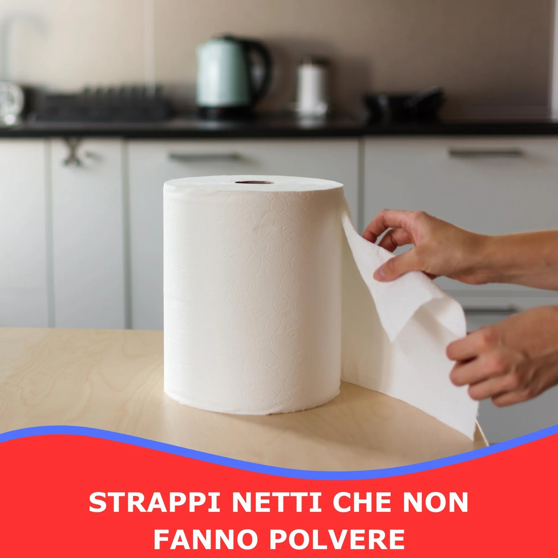 Carta Asciugatutto Pura Cellulosa 2 Veli Bobina 2000 - 2 Rotoli