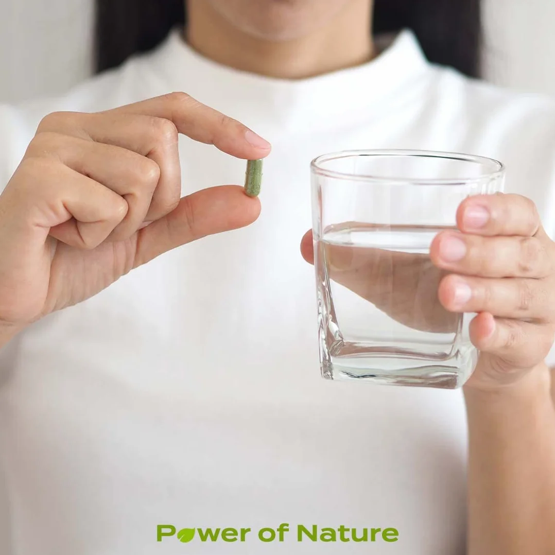 mondomatcha - Tè Verde Matcha Biologico Giapponese – 160 Capsule – Integratore 100% Vegano - Potente antiossidante - Puro e Naturale - Adatto a Vegani e Vegetariani - SENZA ADDITIVI