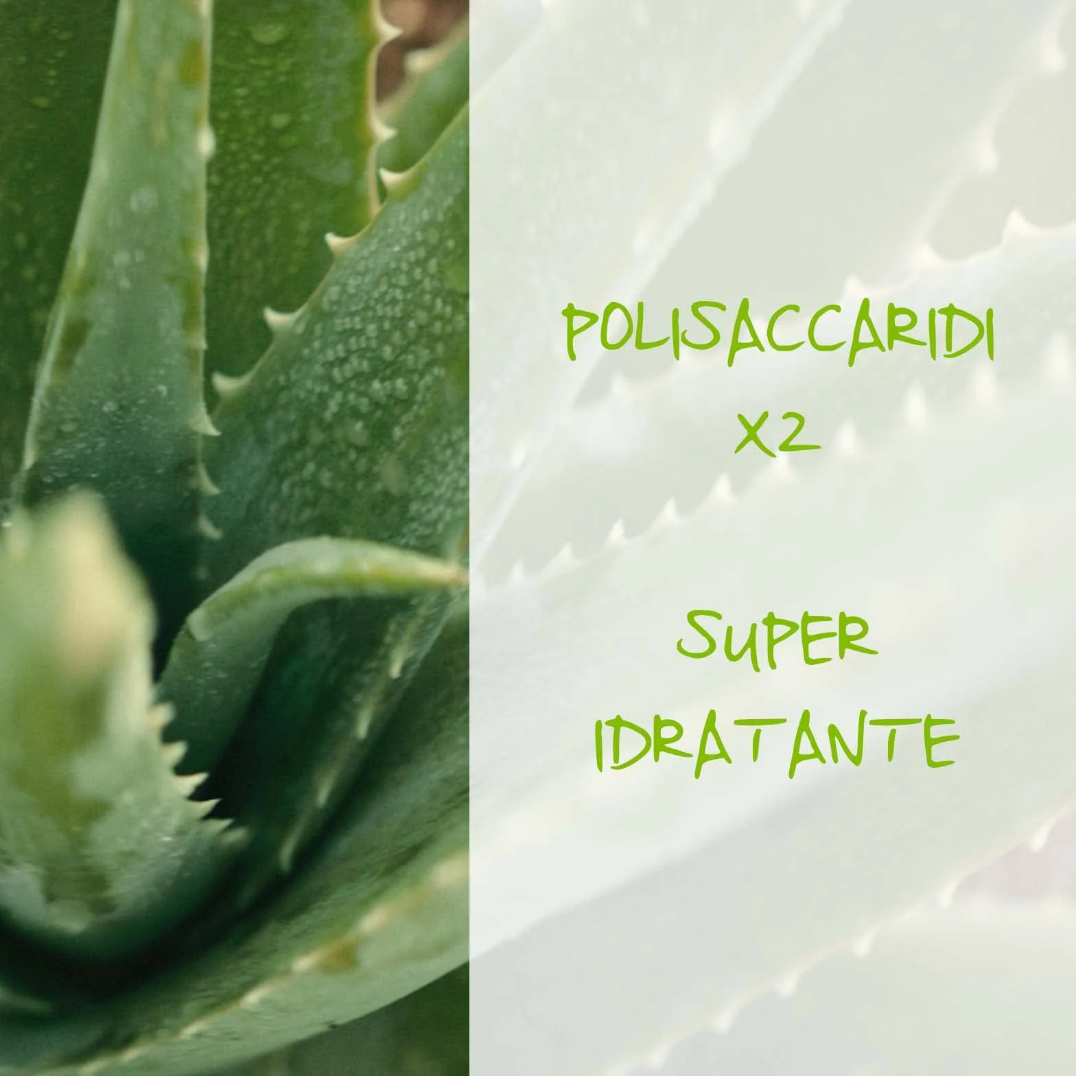 Omia Intimo Eco Bio Detergente Intimo Aloe Vera Ph 3.5 Senza Sapone Vegano 250 ml