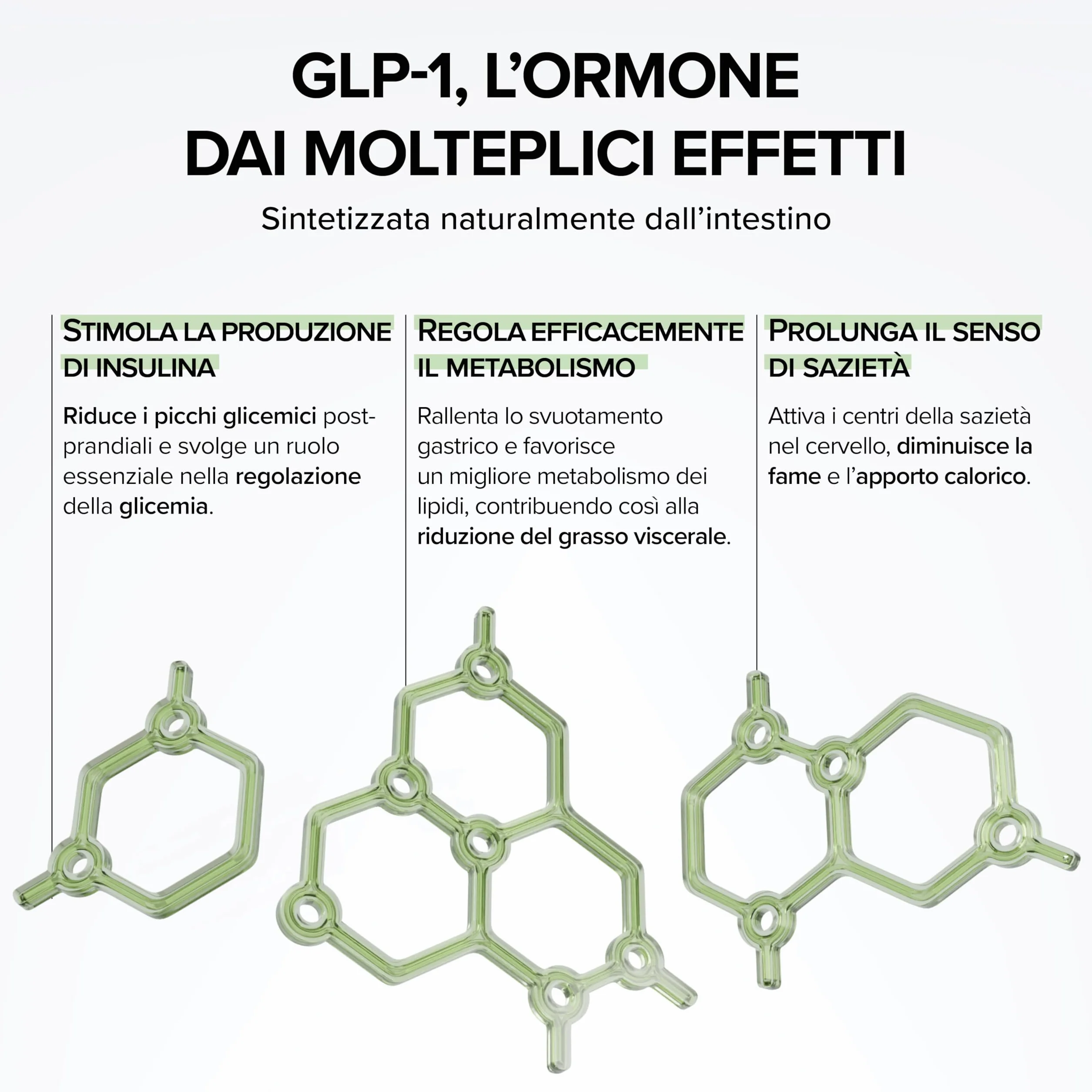 GLP-1 Boost – Con Berberina – Cromo 250 µg – Tè Verde, Fucus & Guaranà – Sazietà & Glicemia – Metabolismo – 100% Vegano – 60 capsule – Prodotto in Francia – Beyond Elements
