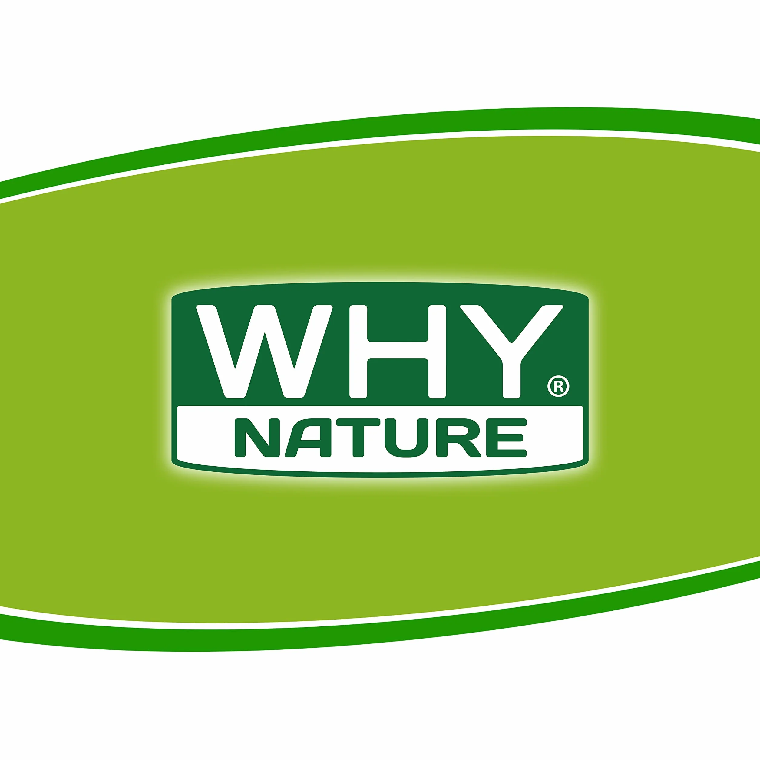 WHY NATURE LOW SUGAR PANCAKE PROTEICO - Pancake Proteici - Preparato Per Pancake Con Farina Di Fiocchi Di Avena - Gusto Cookies - 800 gr