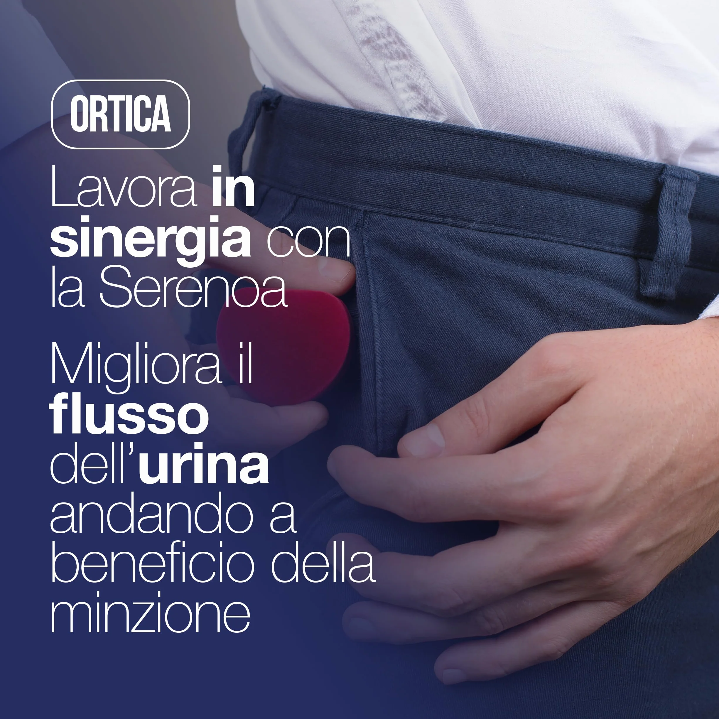 Serenoa Repens Prostata Integratore 60 Compresse con Saw Palmetto, Boswellia, Zucca e Licopene 640mg
