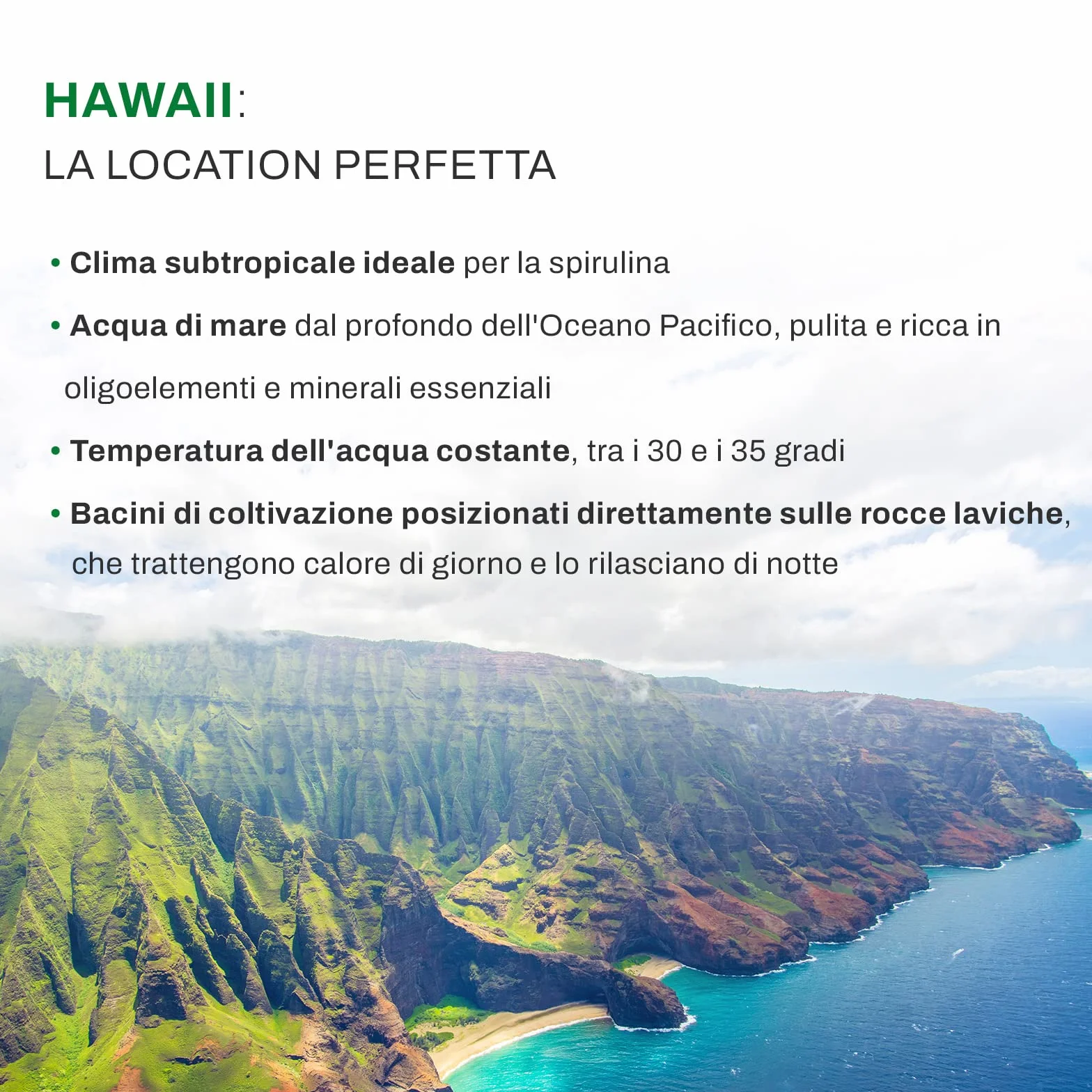 MARCUS ROHRER SPIRULINA delle Hawaii 180 Compresse Integratore Alimentare Naturale
