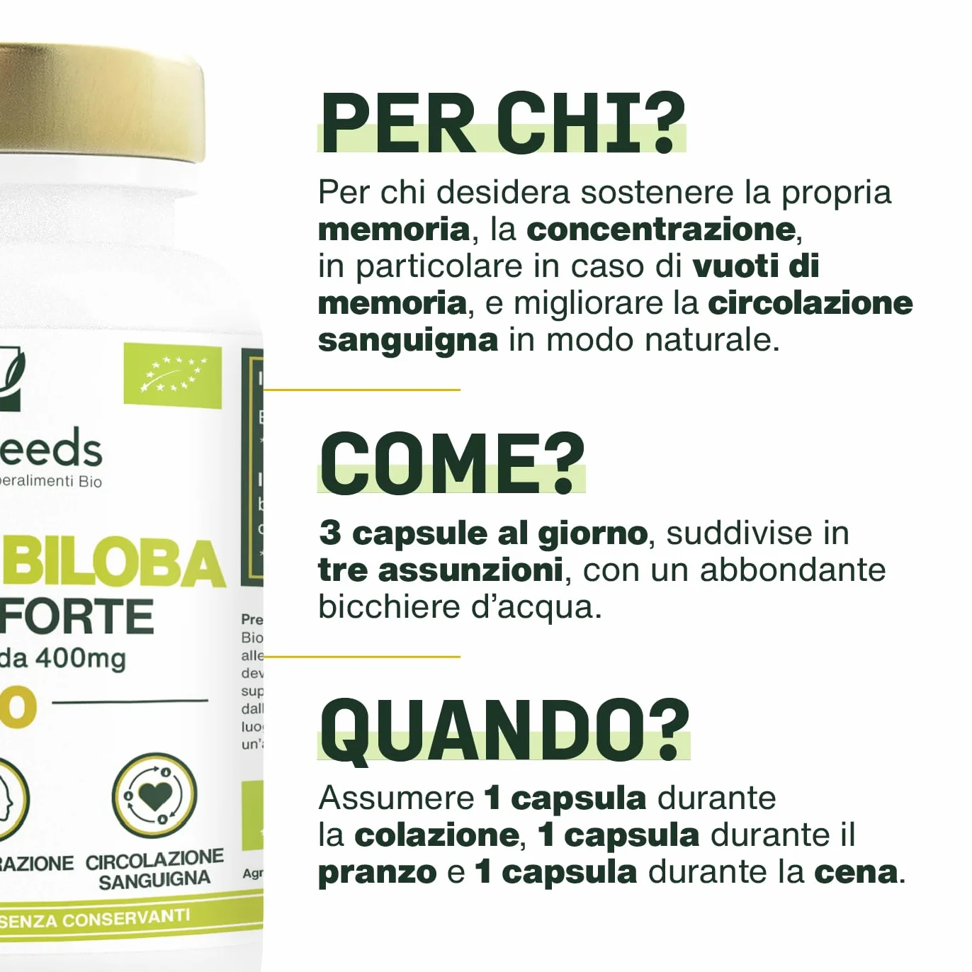 Ginkgo Biloba BIO Extra Forte 4560mg 90 capsule vegane Memoria Concentrazione Circolazione Sanguigna