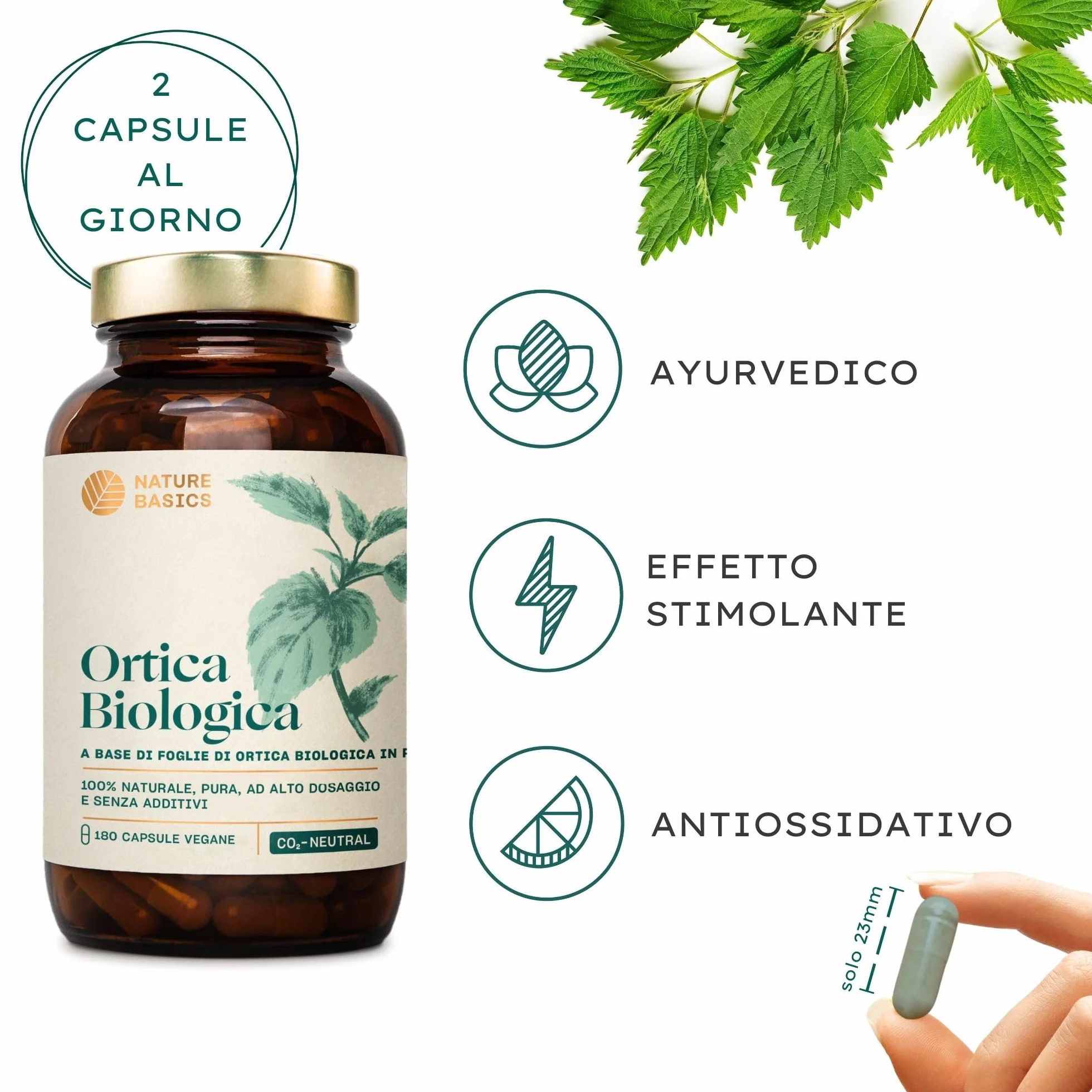 Ortica biologica 180 capsule 900 mg polvere di foglie pura vegana certificata