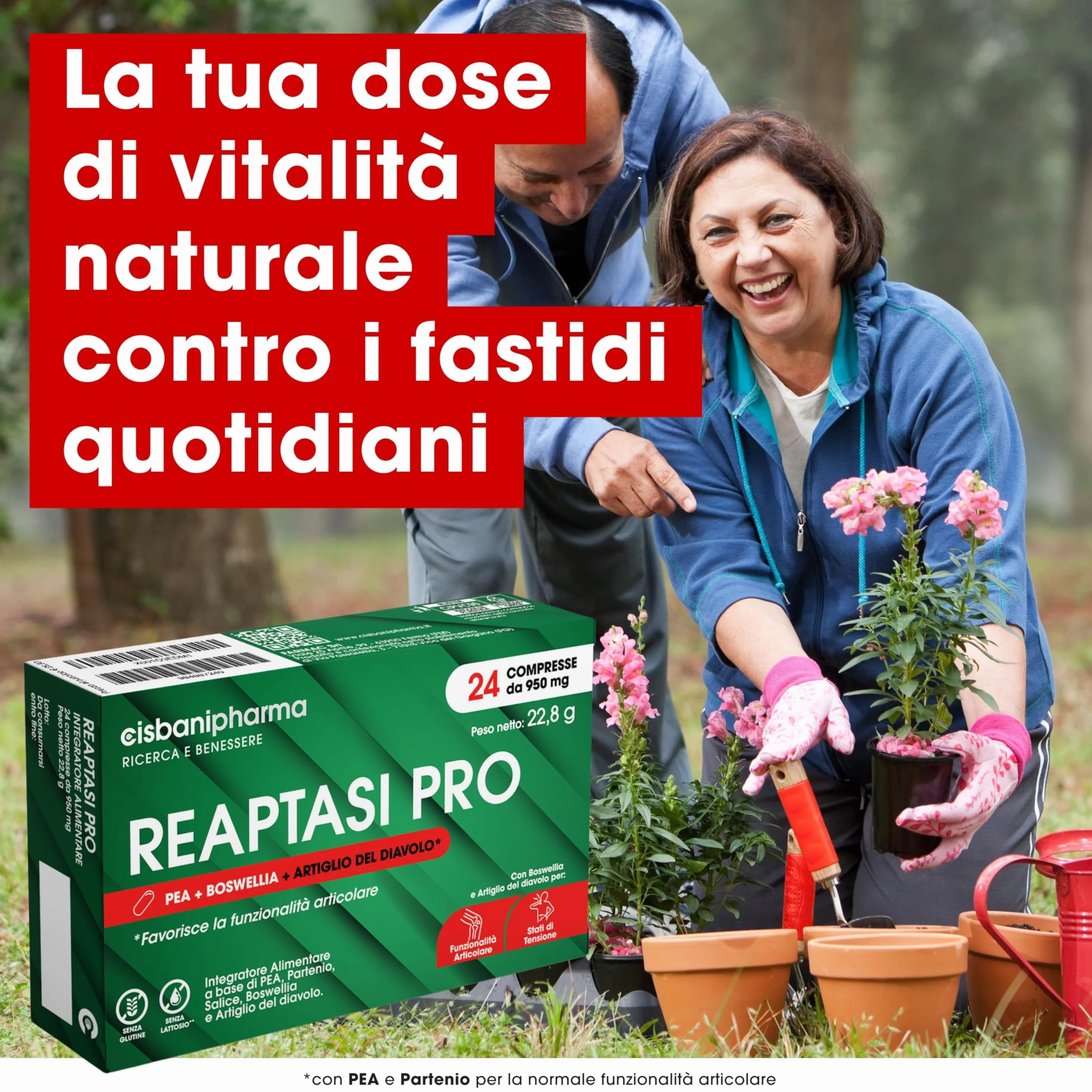 CISBANI PHARMA Reaptasi Pro, Integratore Articolazioni, Favorisce la Normale Funzionalità Articolare, con PEA, Artiglio del Diavolo, Boswellia e Partenio – 24 Compresse