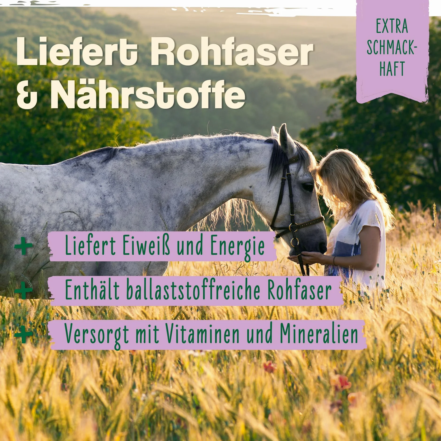 Ida Plus Lievito di birra Bt 6 kg Integratore alimentare per cavalli e pony pelo lucido pelle forte supporta digestione flora intestinale vitamine gruppo B