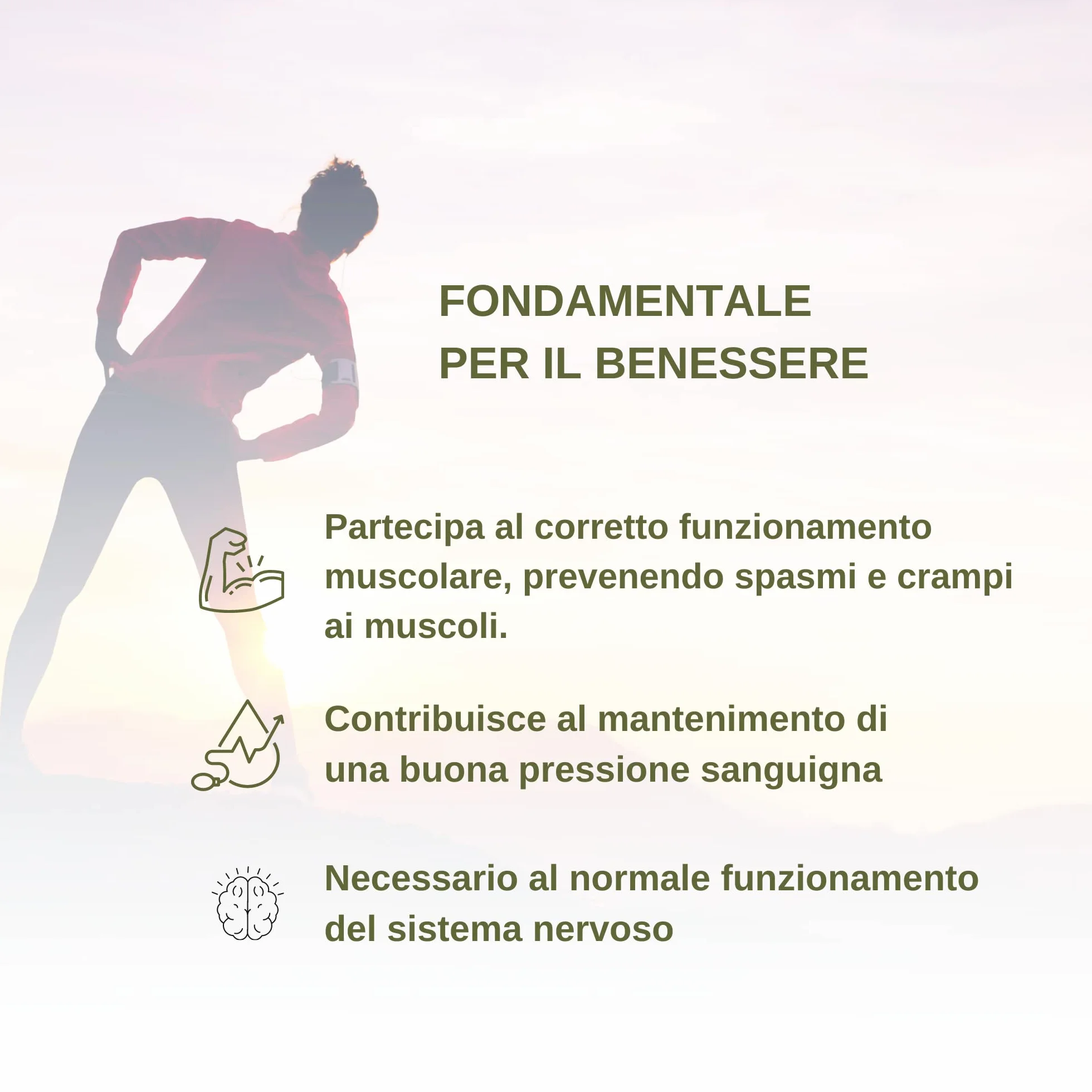 Benessence - Potassio Citrato in Polvere solubile - 500 g - 250 Giorni di Integrazione