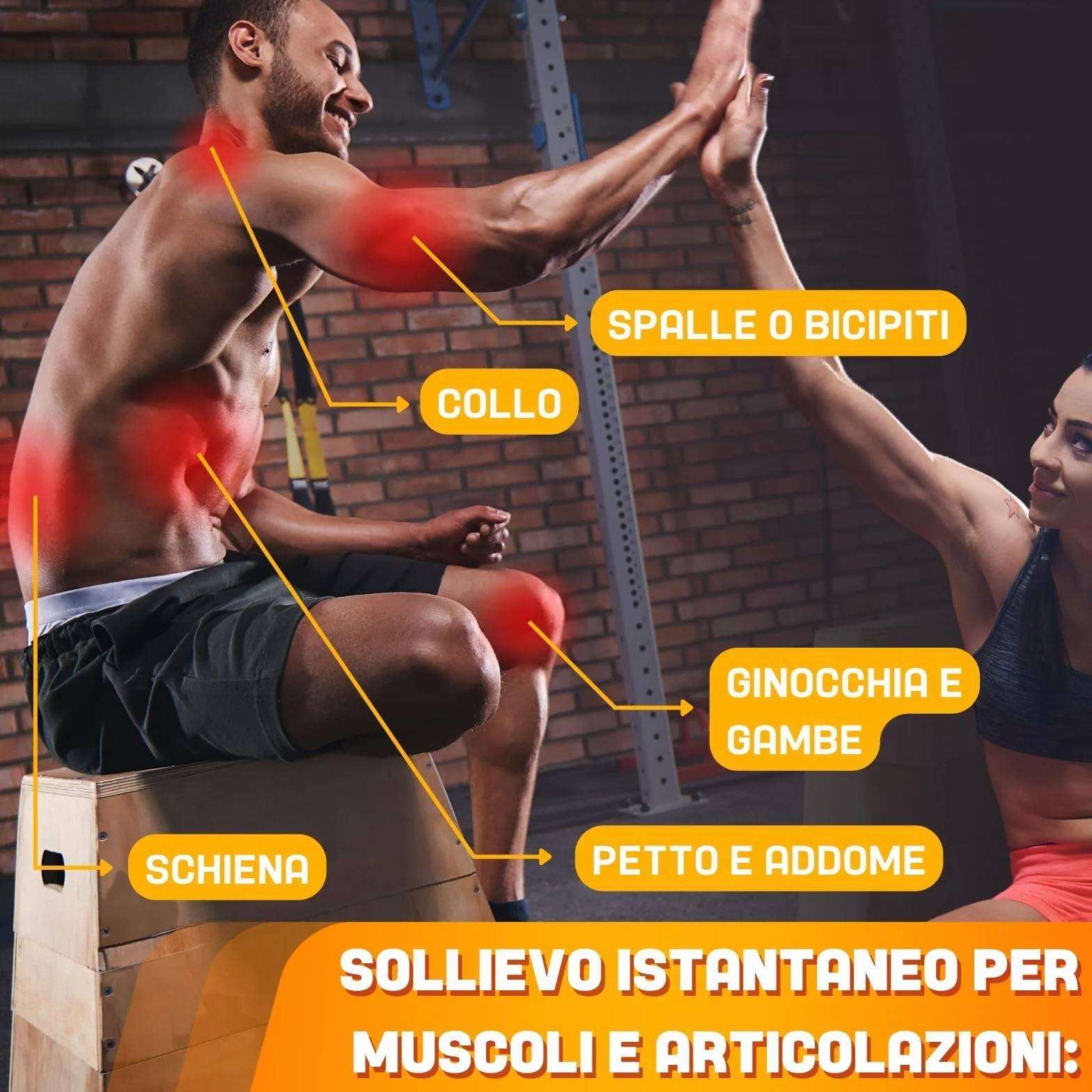 Arnica Per Cavalli Uso Umano con Acido Ialuronico 600ml Gel Extra Forte Mentolo e Boswellia Rinfrescante Non Unge Crema Masaggio