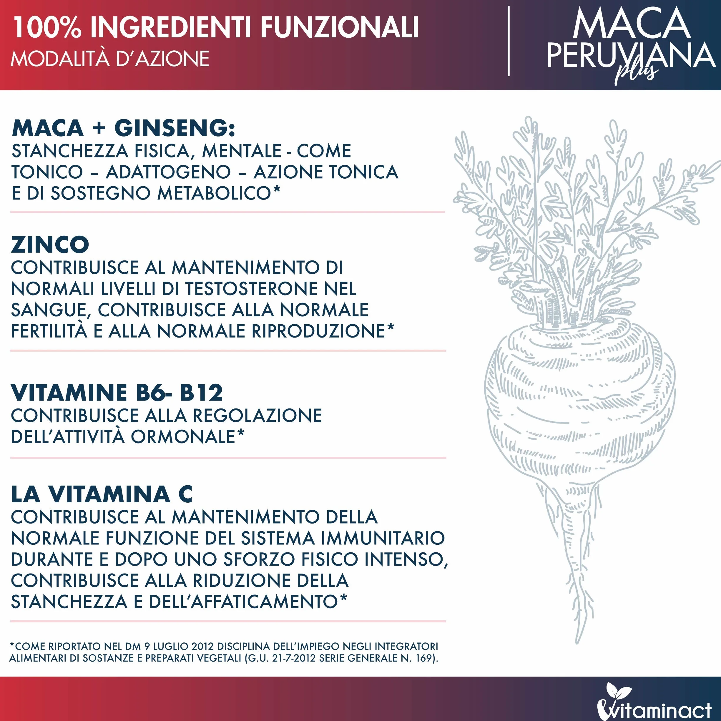 Maca Peruviana Plus XXL Altissimo Dosaggio 10000.00 mcg al giorno - Potenziato con Ginseng + Arginina + Zinco + Vitamine B9, B6, B12, C - Made in Italia - Formula Innovativa