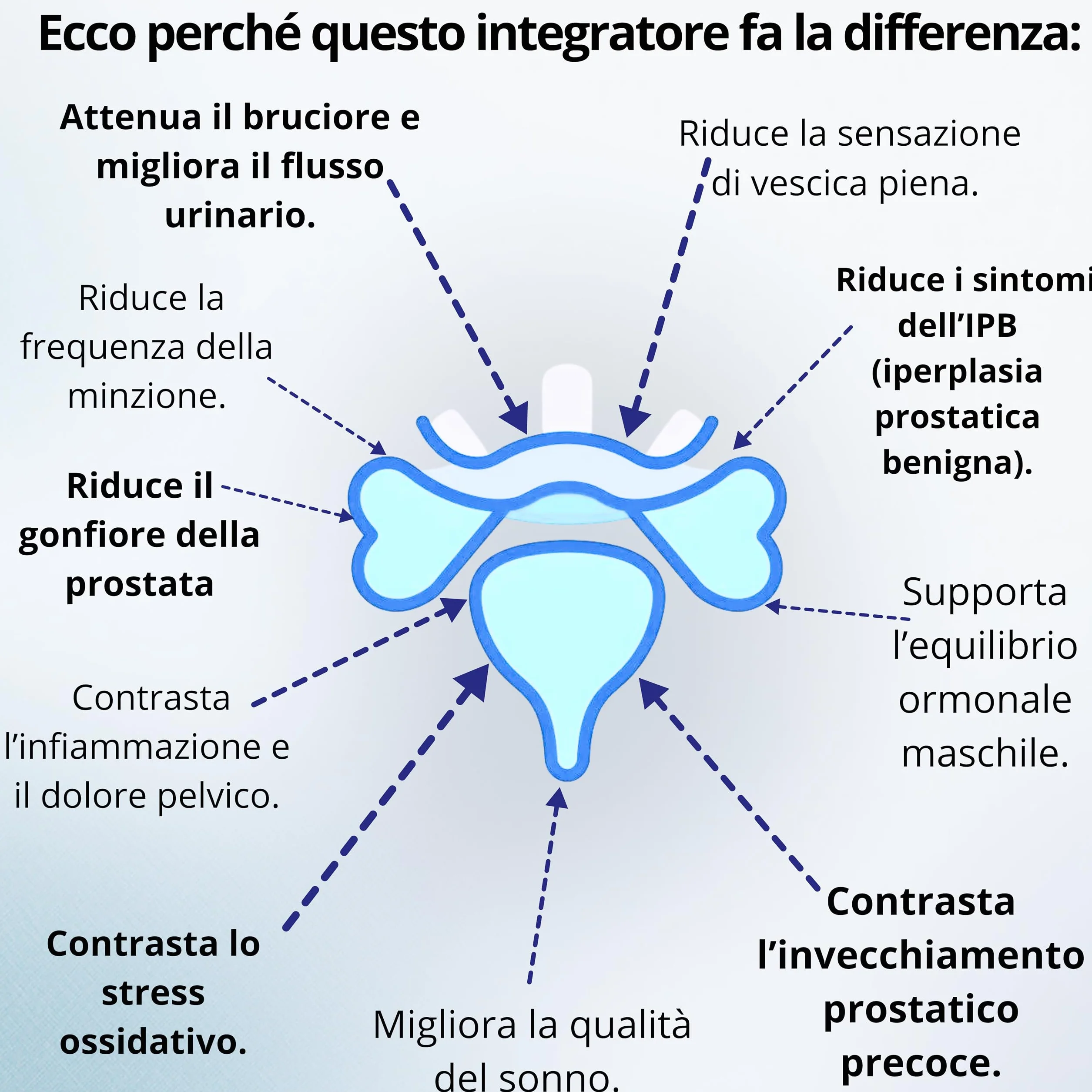 Integratore Prostata Uomo Serenoa Repens Saw Palmetto Epilobio Orthosiphon Zinco Selenio Magnesio Bisglicinato Vitamina C D3 120 Capsule