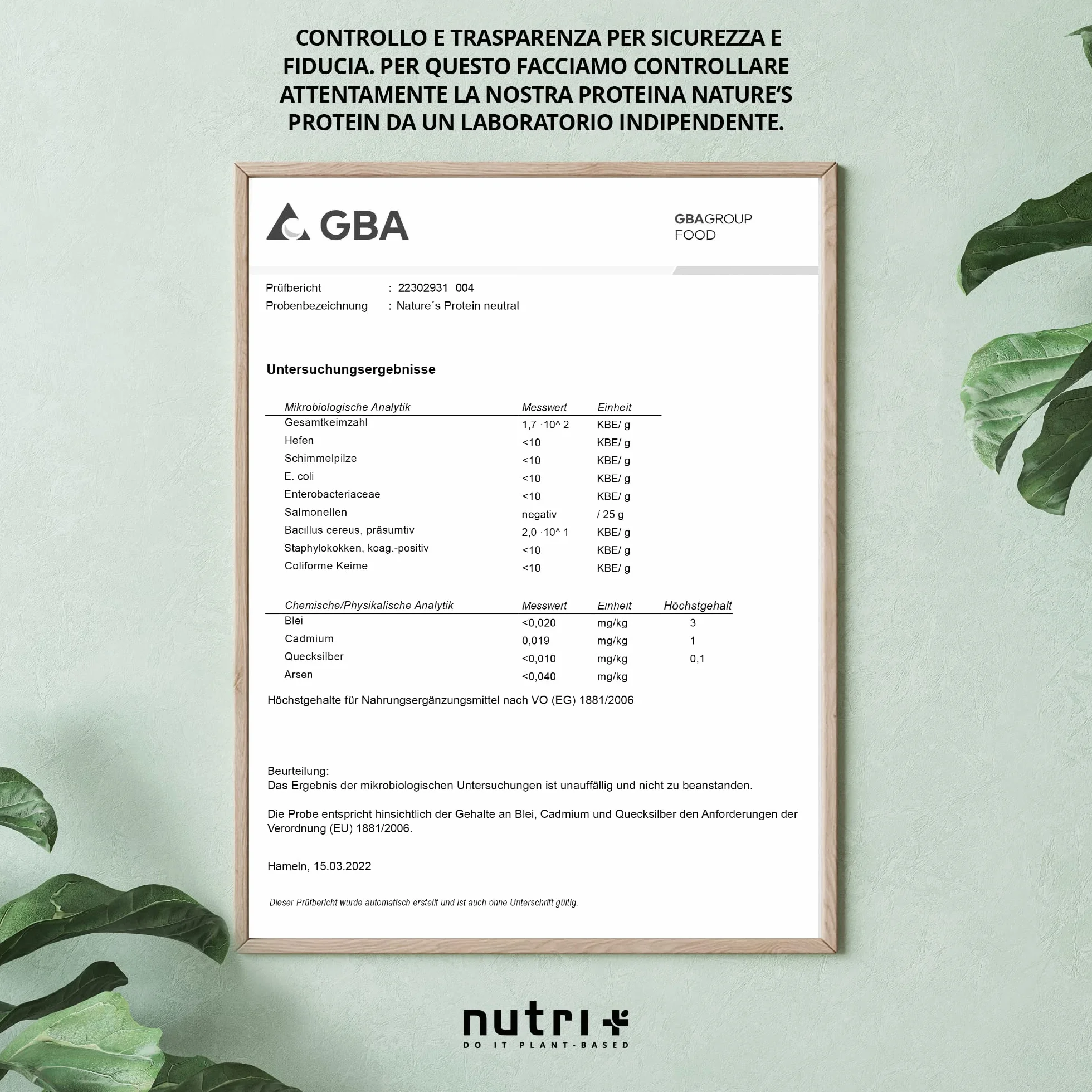 nutri+ Proteine in Polvere Naturali Cioccolato senza Edulcoranti 500g Proteina di Soia e Piselli Bibita Sportiva senza Lattosio per Shake o per Cucinare senza Glutine Vegano