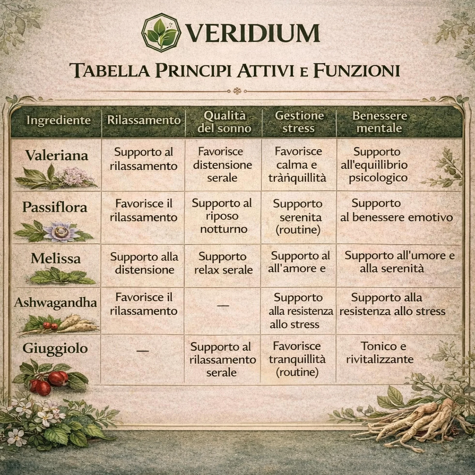 All in One Sonno Profondo Melatonina Valeriana Forte Passiflora Ashwagandha Melissa Griffonia Triptofano L-Teanina AZIONE 360 Insomnia Ansia Serale