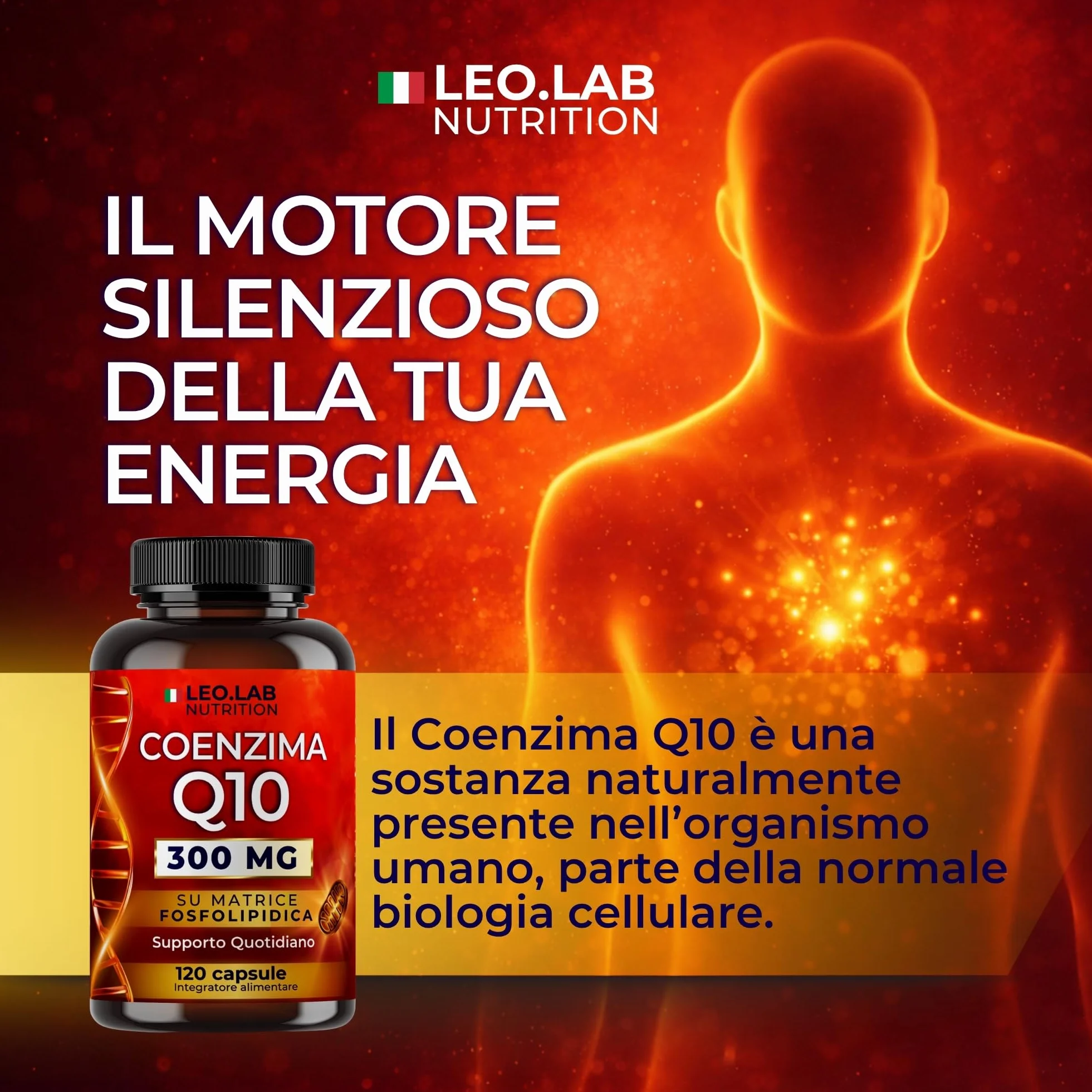 Coenzima Q10 300mg ad Alto Dosaggio 120 Capsule (4 Mesi di Scorta) - Integratore Q10 Made in Italy