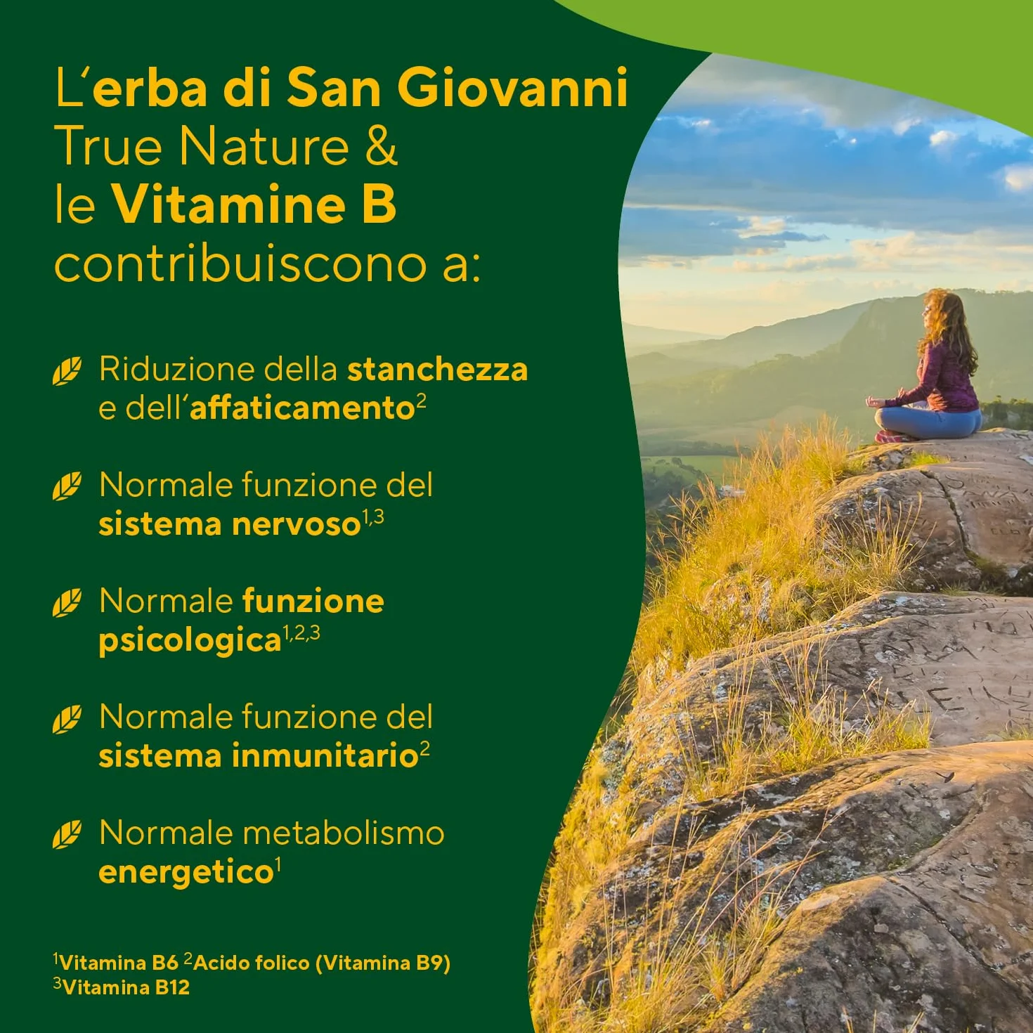 Capsule di iperico ad alto dosaggio - 240 capsule con le vitamine B6, B12 e acido folico - 5000 mg di iperico per capsula (estratto 10:1) - ipericina & iperforina - Prodotto in Germania - TRUE NATURE