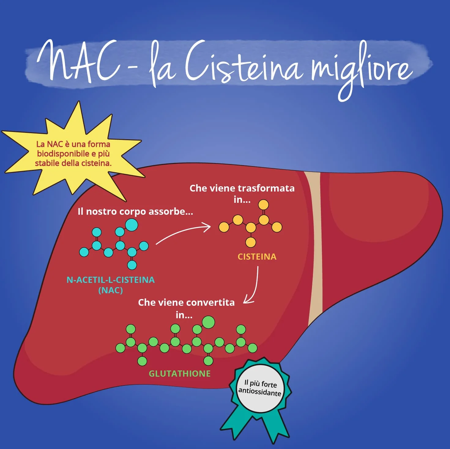 NAC N-Acetil-Cisteina 600 mg | 180 capsule (6 Mesi) | Alto Dosaggio | 100% NATURALE da Mais | Precursore del Glutatione | SENZA ADDITIVI | Integratore N-Acetyl L-Cysteine | Vegan | Vegavero