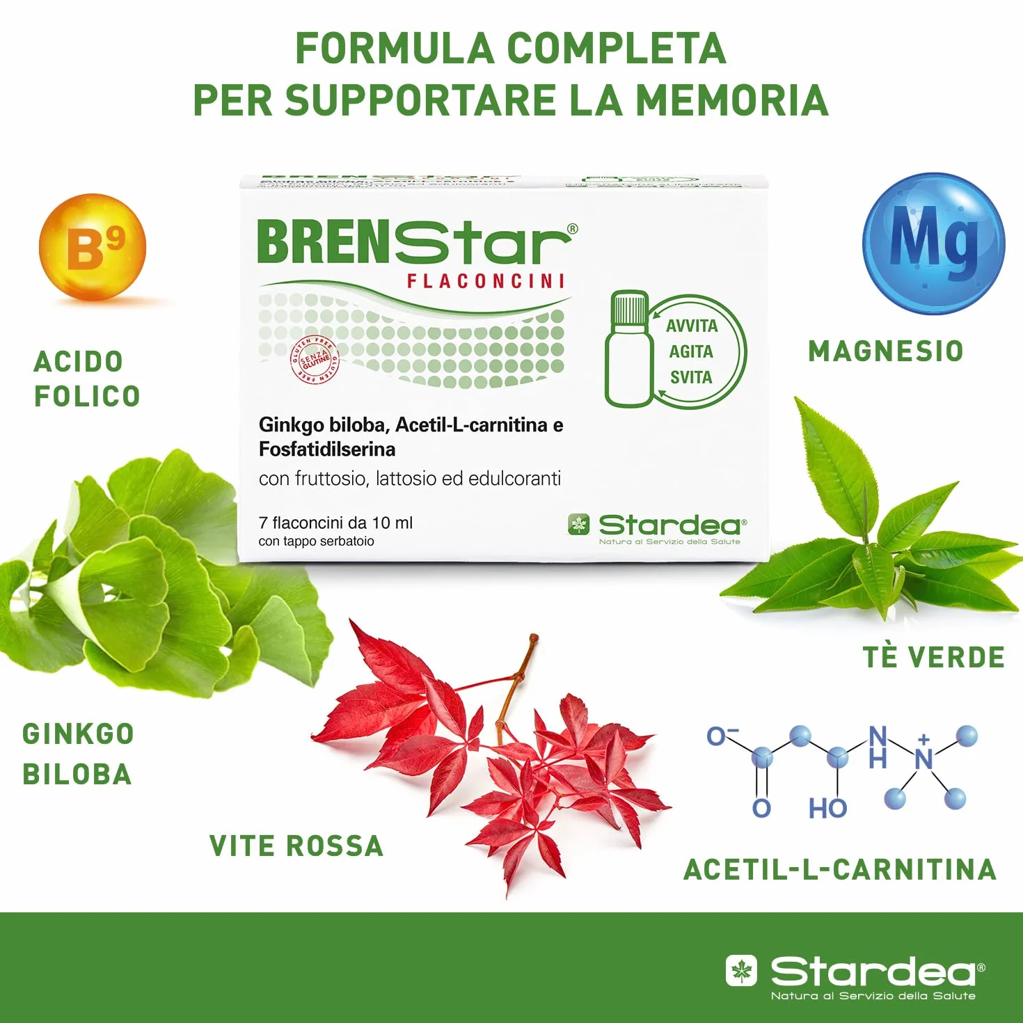 Ginkgo Biloba | Integratore per Memoria e Concentrazione | Integratore naturale stanchezza metale e fisica | Ginkgo Biloba da Bere | 7 flaconcini facile utilizzo | STARDEA Brenstar