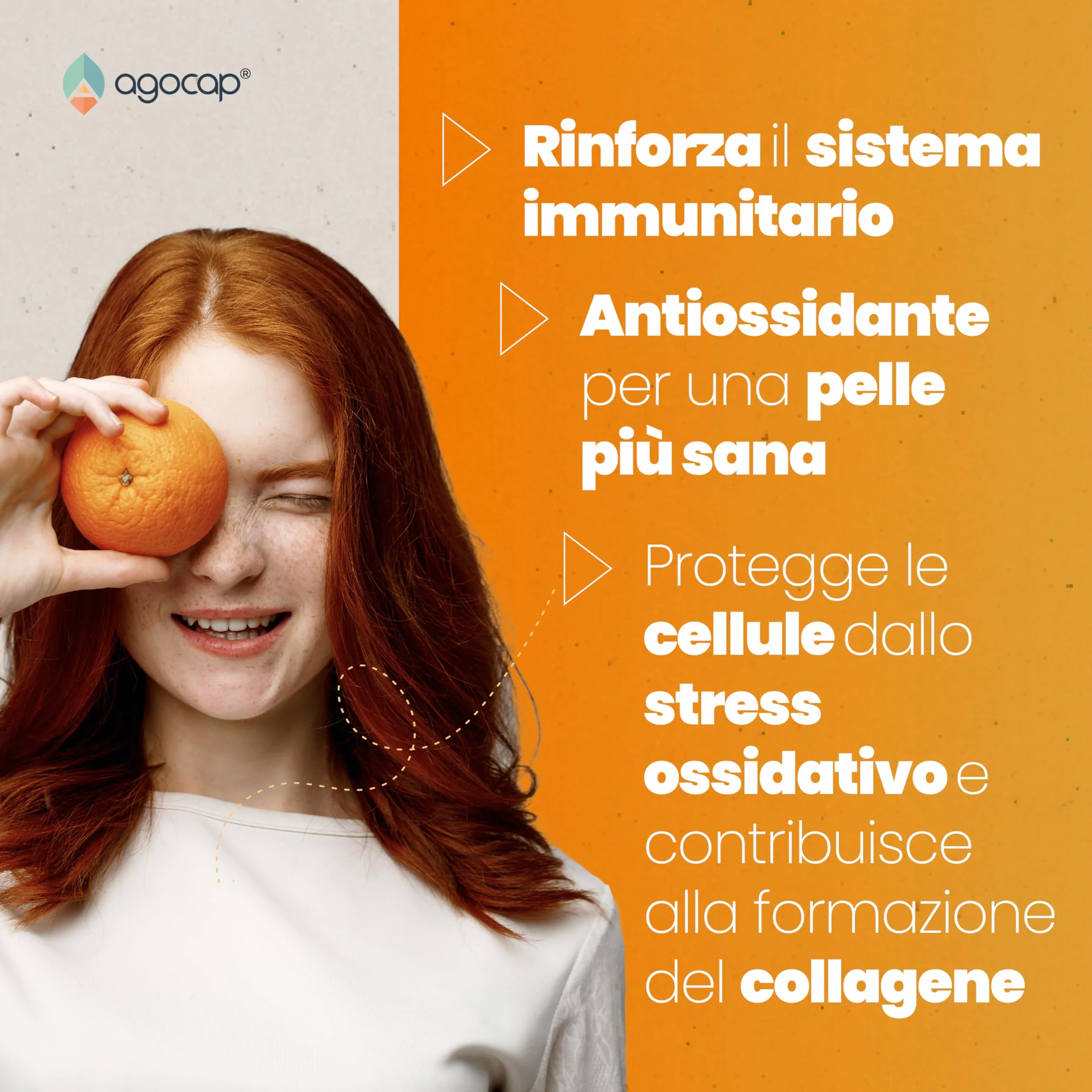 Vitamina C 1000mg Alto Assorbimento con Rosa Canina e Bioflavonoidi 160 cpr Vegana