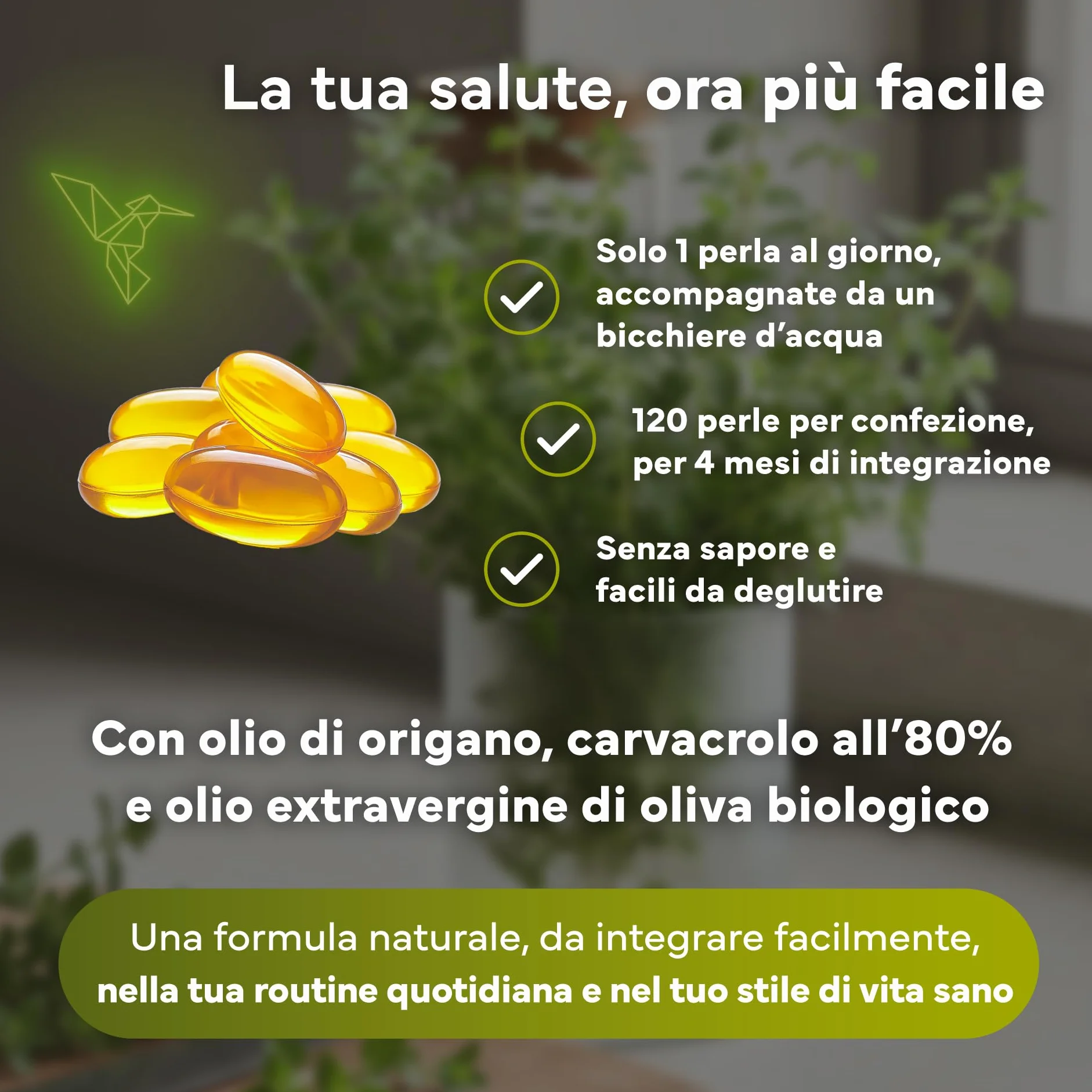 Olio di Origano Capsule 160 mg Carvacrolo 120 Softgel Supporto Immunitario