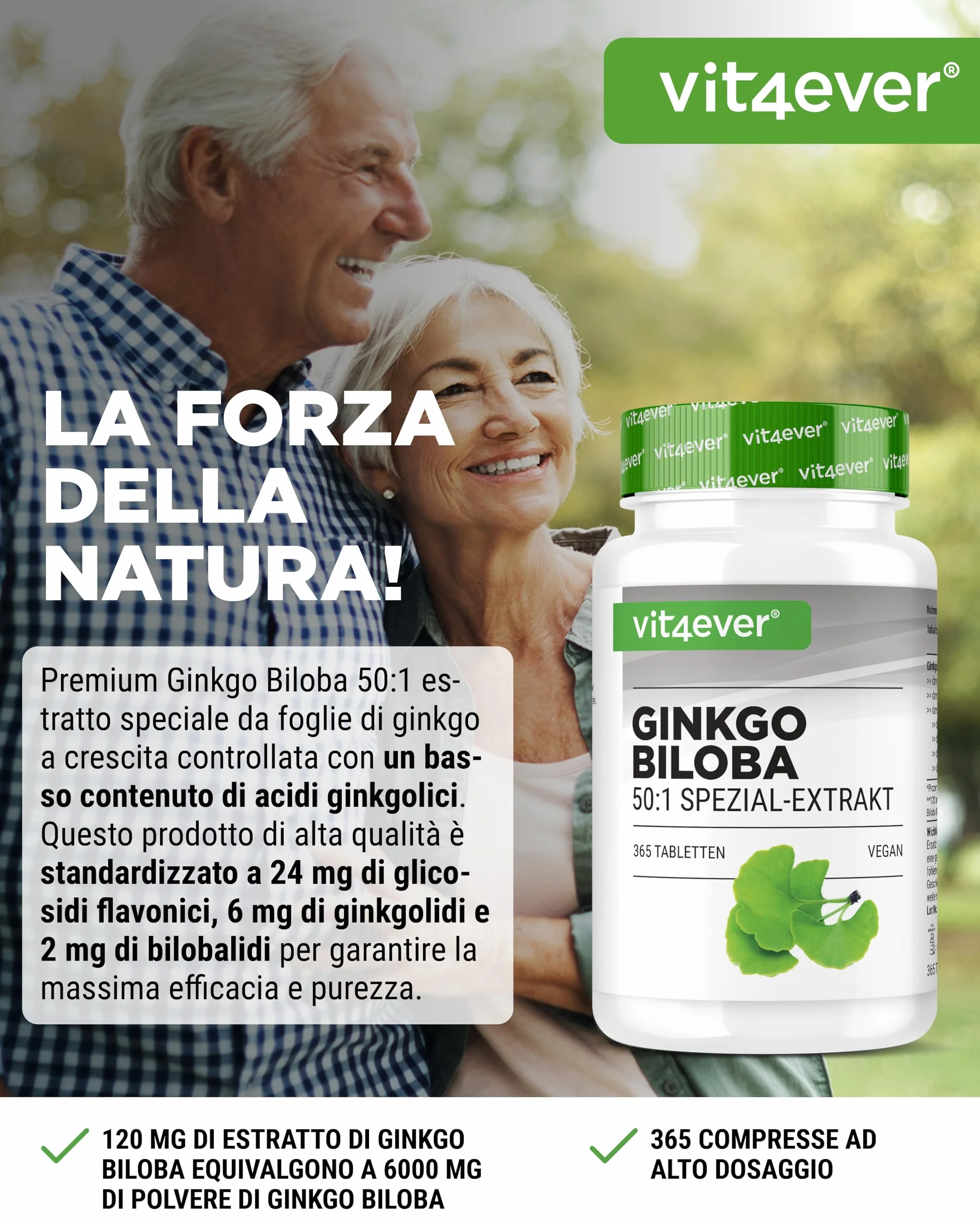 Vit4ever Ginkgo Biloba 6000 mg 365 Compresse Estratto Premium con Flavonglicosidi Ginkgolidi Lattoni Terpenici Alto Dosaggio Vegano