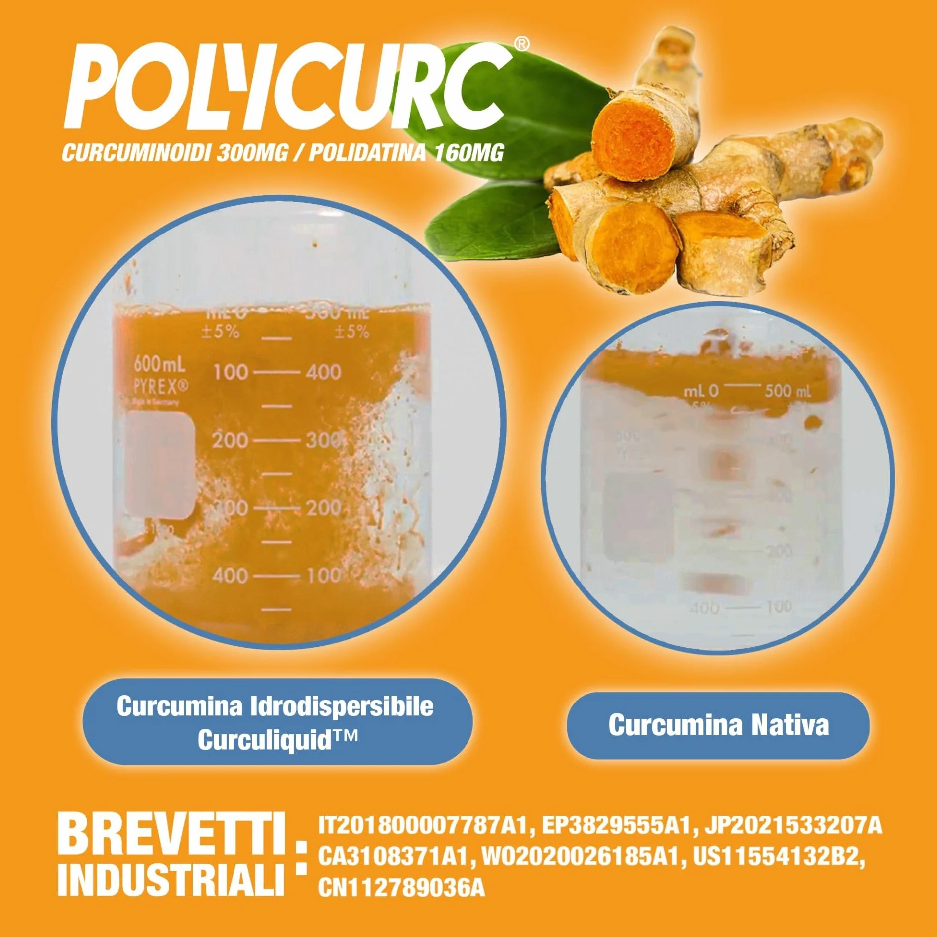 PolyCurc Gel Integratore Curcumina e Polidatina Stickpack Alto Dosaggio
