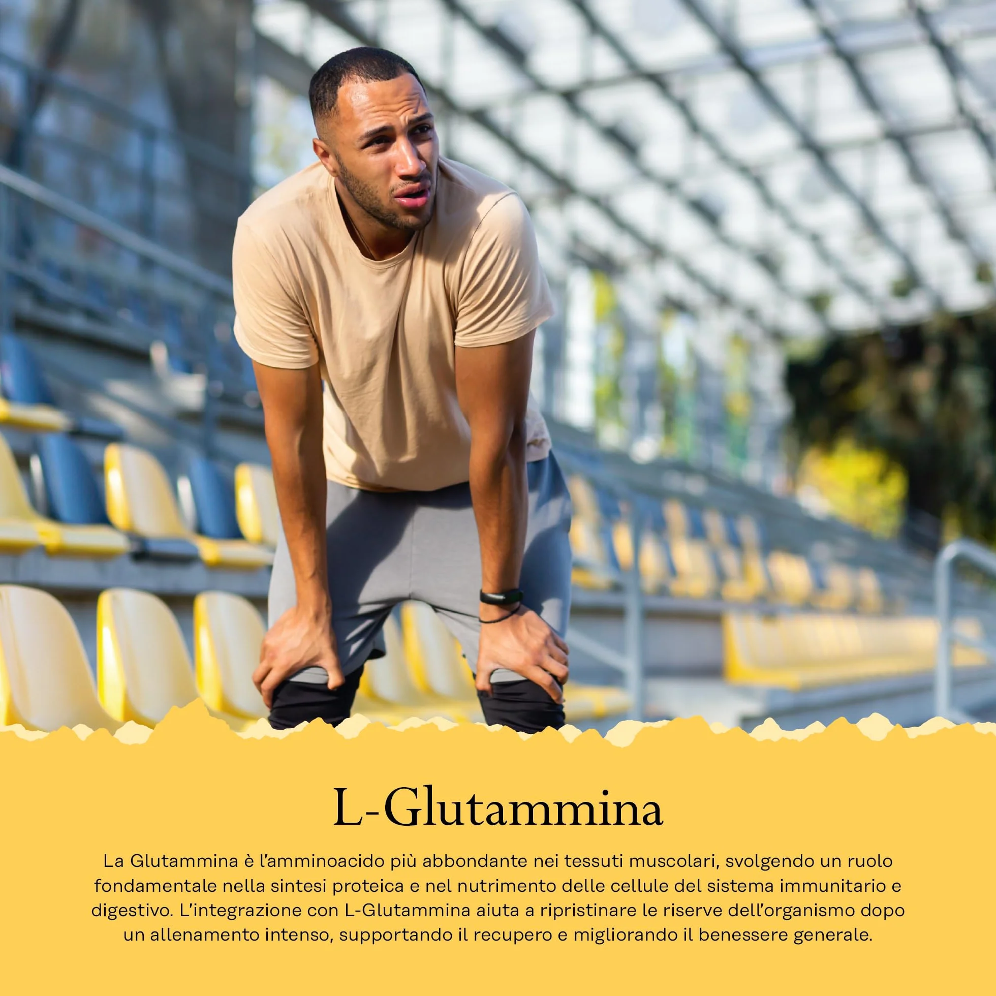 Solaray Glutammina 1000mg - 100 Capsule Vegane - 500mg di L-Glutammina per Capsula - Aminoacido di Alta Qualità - Integratore Pre Allenamento - Testata in Laboratorio