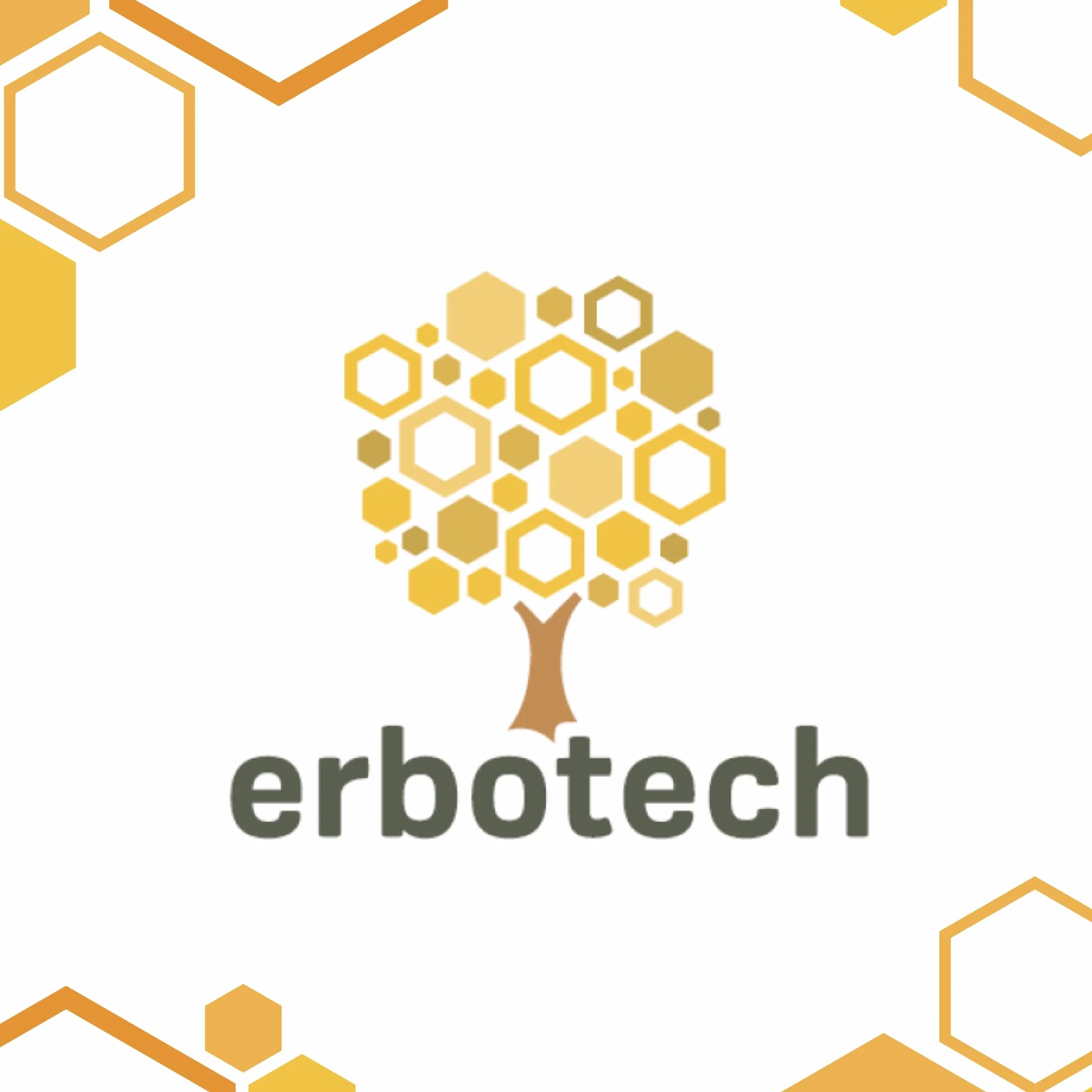 ERBOTECH Curcuma BIO Capsule 100g 140 Capsule Integratore Alimentare Naturale