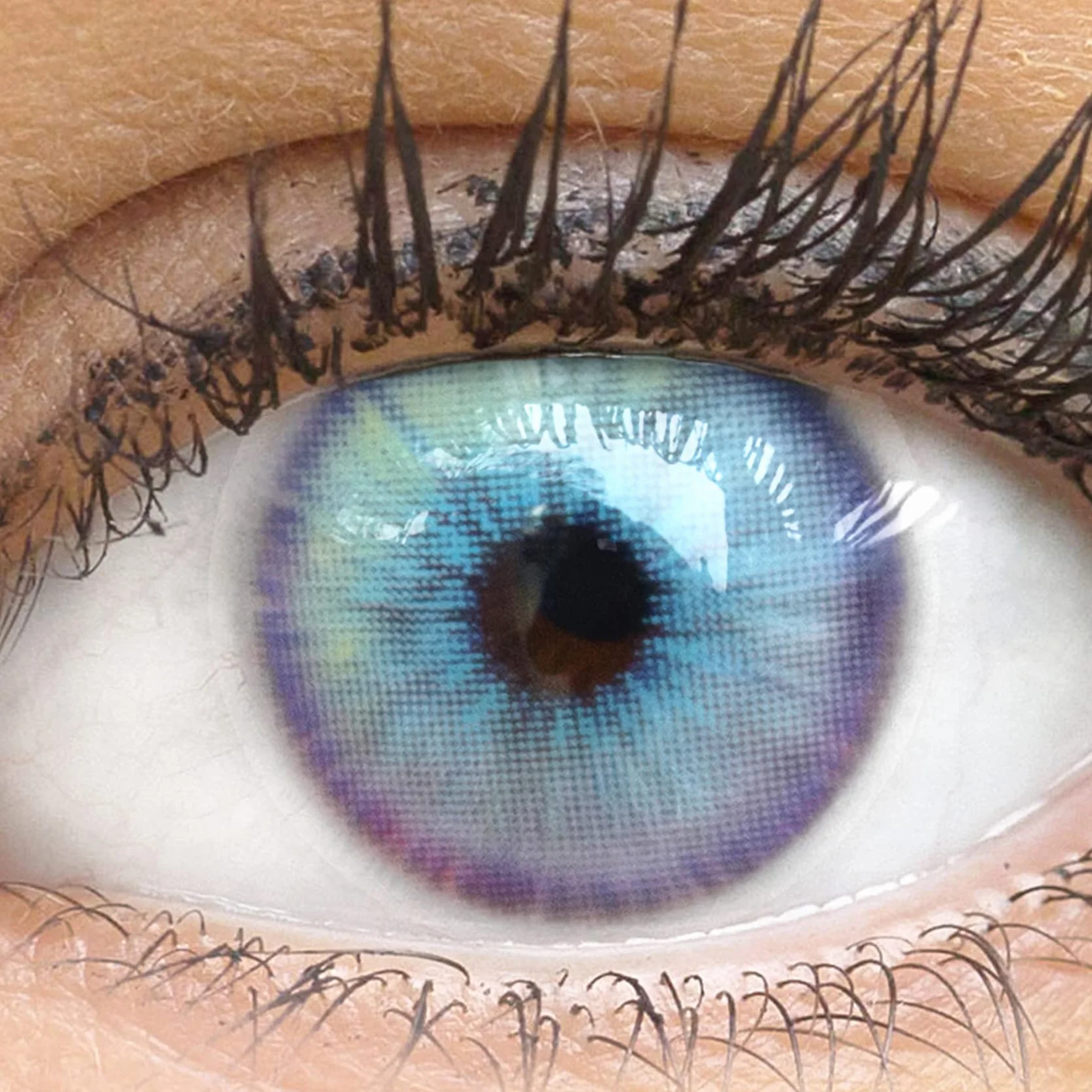 GLAMLENS Lenti a Contatto Colorate Ash Blue Azzurre Mensili, Silicone Idrogel, 2 Pezzi, DIA 14.2, 0.00 Diottrie