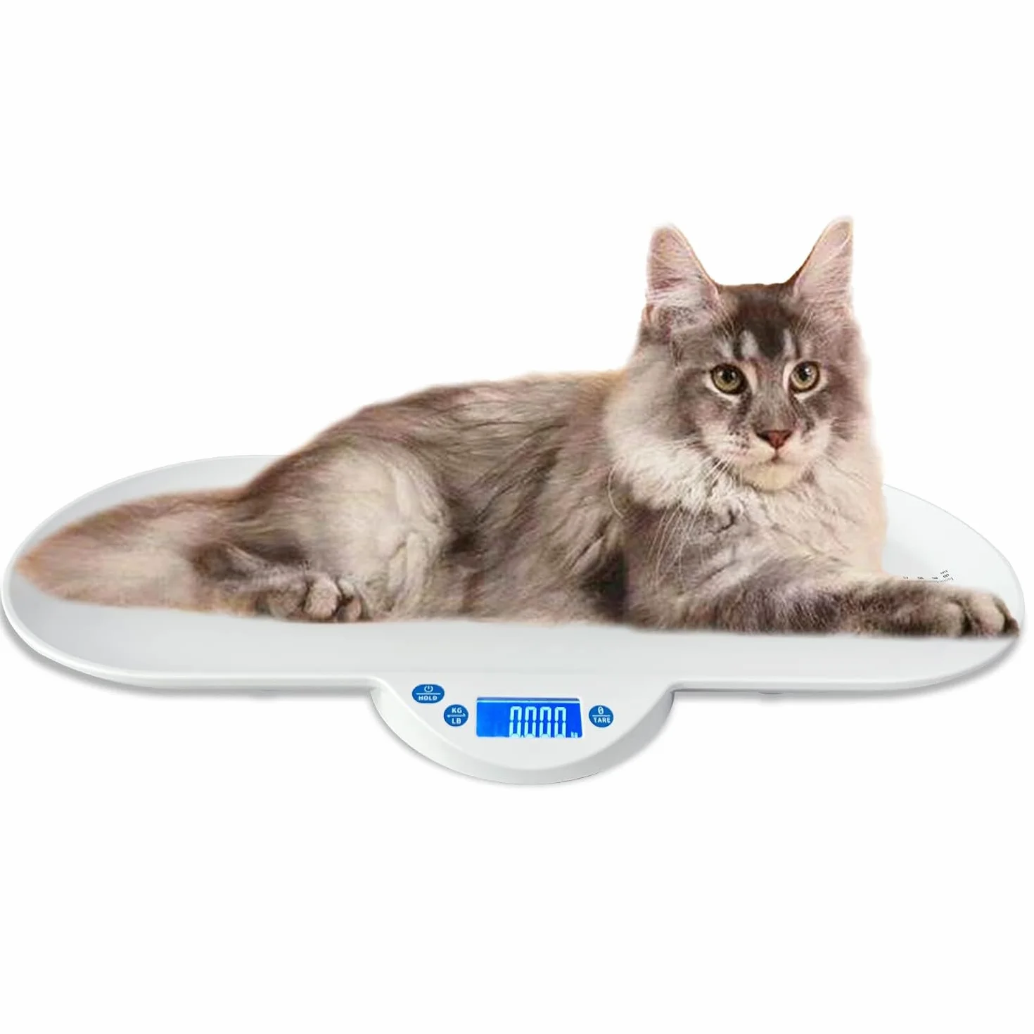 Bilancia elettronica multifunzionale per animali domestici e bambini, stabile