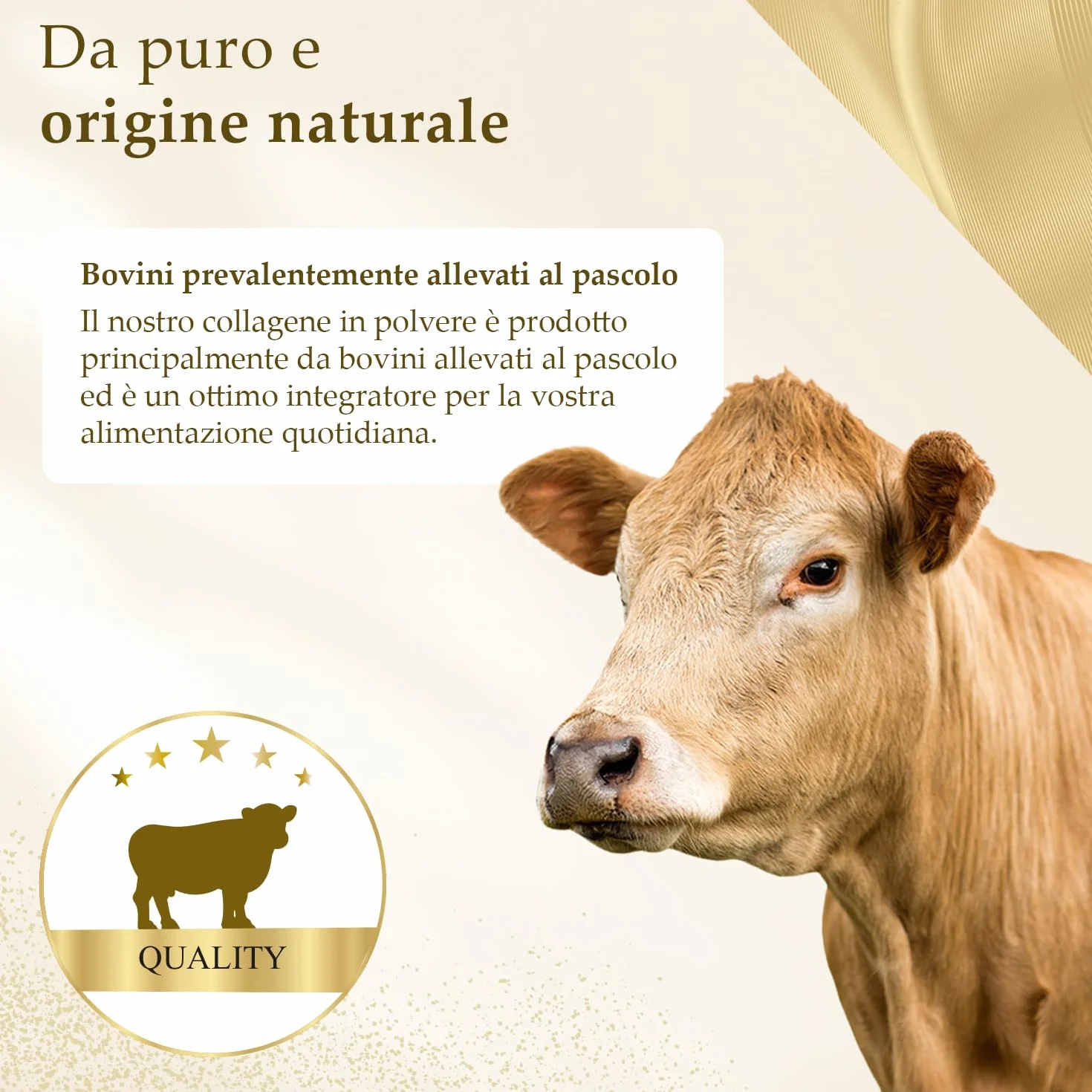 Collagene in polvere 700g Idrolizzato puro Peptidi 1-2-3 Senza additivi Sapore neutro