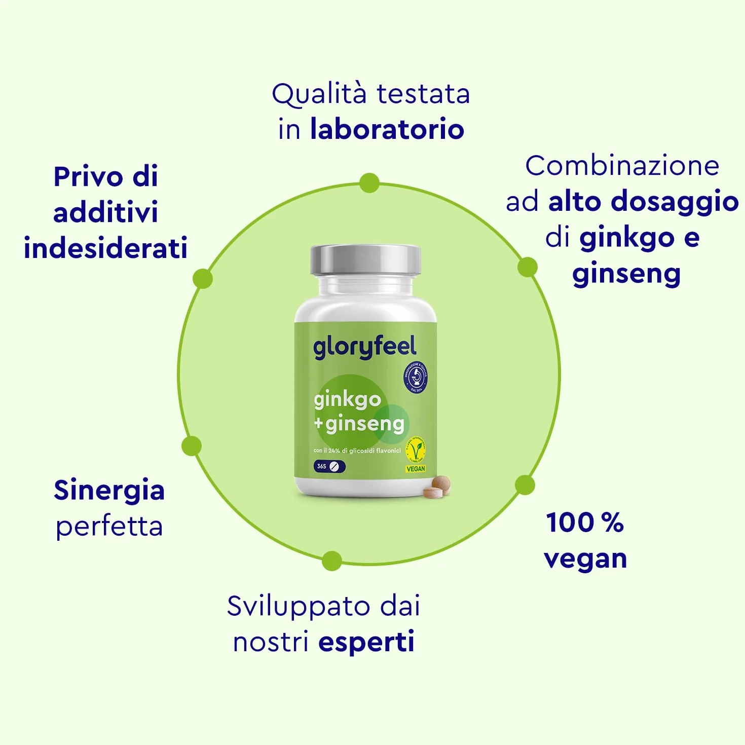 Ginkgo + Ginseng 365 Compresse - 24% Glicosidi Flavonici - Estratto di Panax Ginseng e Ginkgo Biloba (50:1) ad Alto Dosaggio - Scorta di 1 Anno - Testato in Laboratorio, Vegan e Senza Additivi