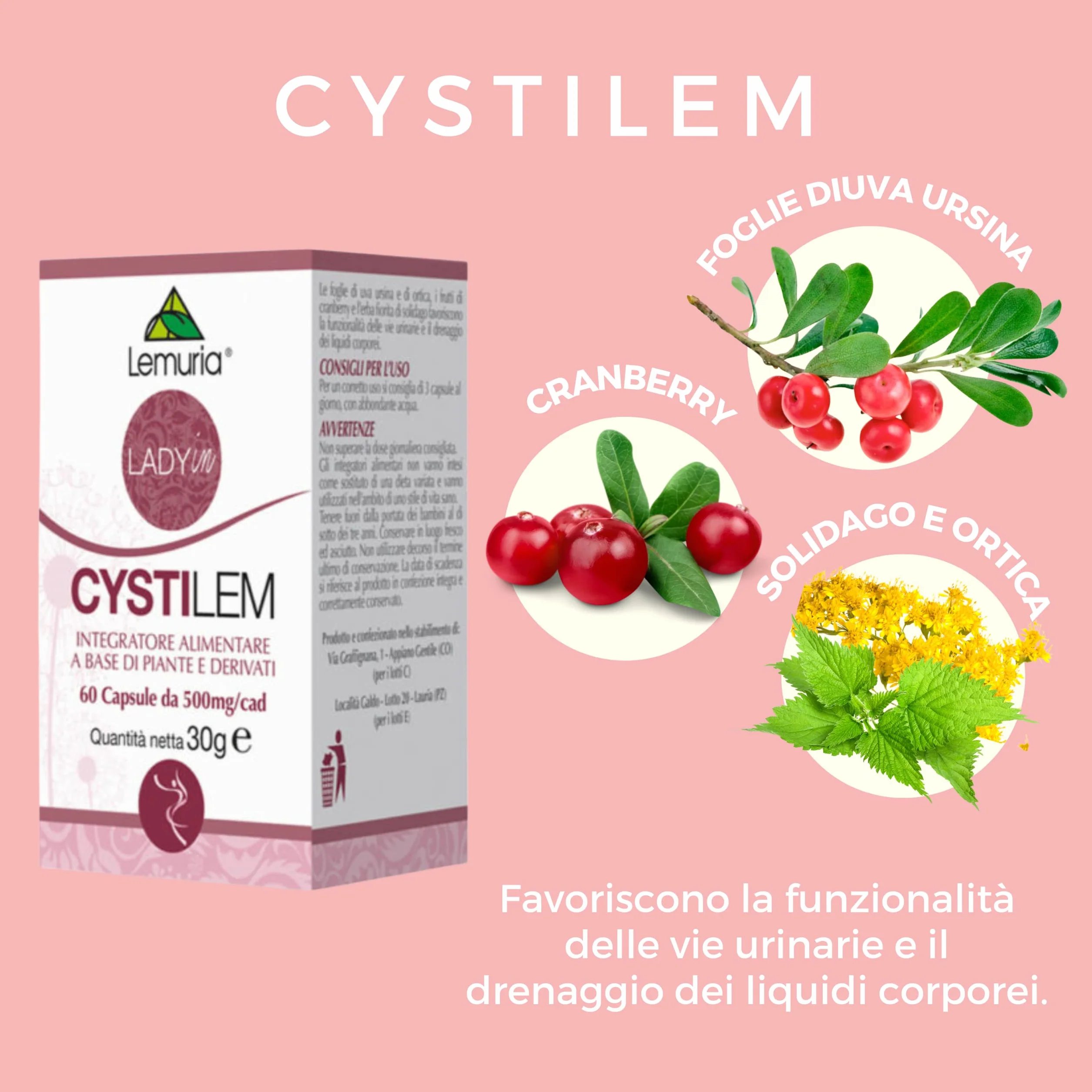 Cystilem Integratore Alimentare 60 Capsule Funzionalità Vie Urinarie Drenaggio Liquidi Made in Italy
