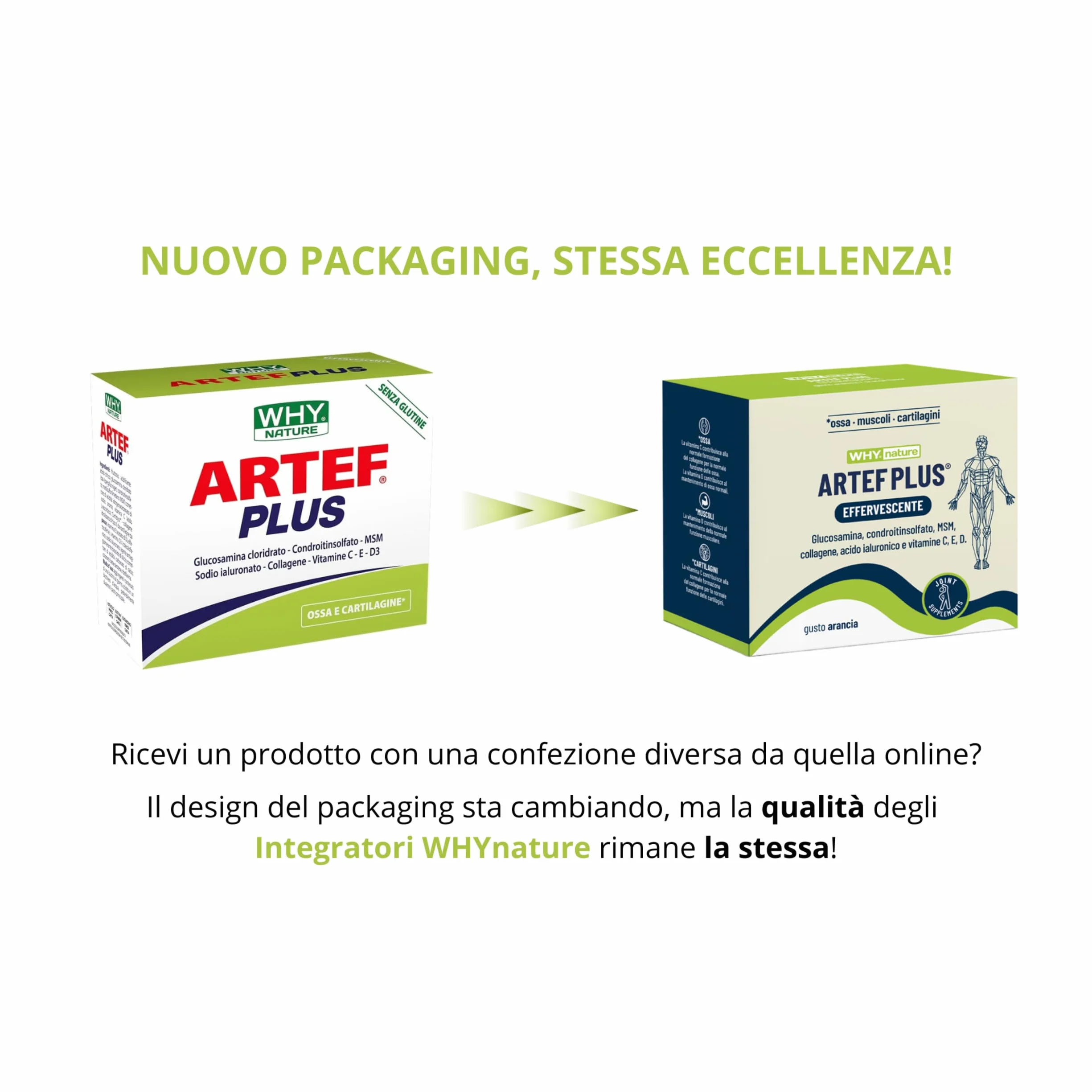 WHY NATURE ARTEF PLUS - Integratore Alimentare Ossa e Cartilagine - Con Vitamina C, Vitamina D3, Vitamina E, Acido Ialuronico - Gusto Arancia - Senza Glutine - 24 Bustine