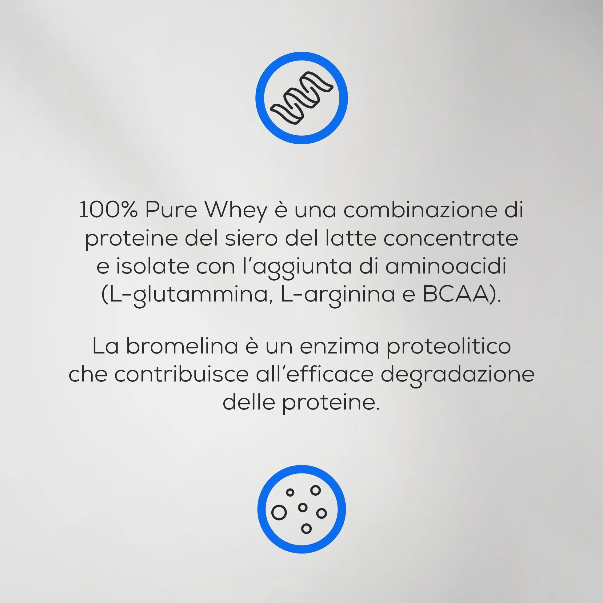 BioTechUSA 100% Pure Whey Proteine del siero di latte con bromelina, senza zuccheri, 1 kg, Cioccolato