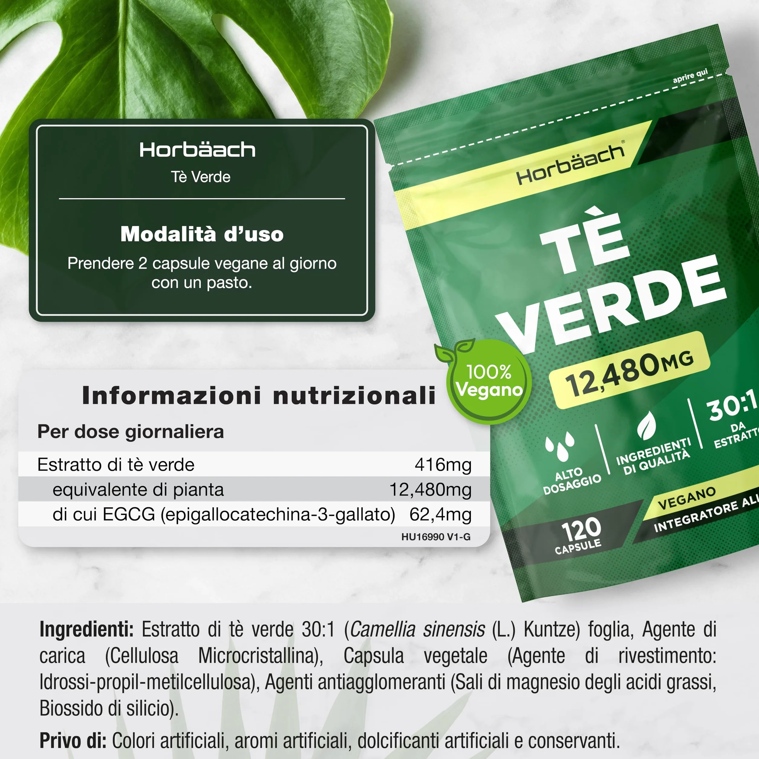 Te Verde Capsule 12480mg | Green Tea estratto ad alta resistenza | 120 capsule in polvere | Vegano e vegetariano | di Horbaach