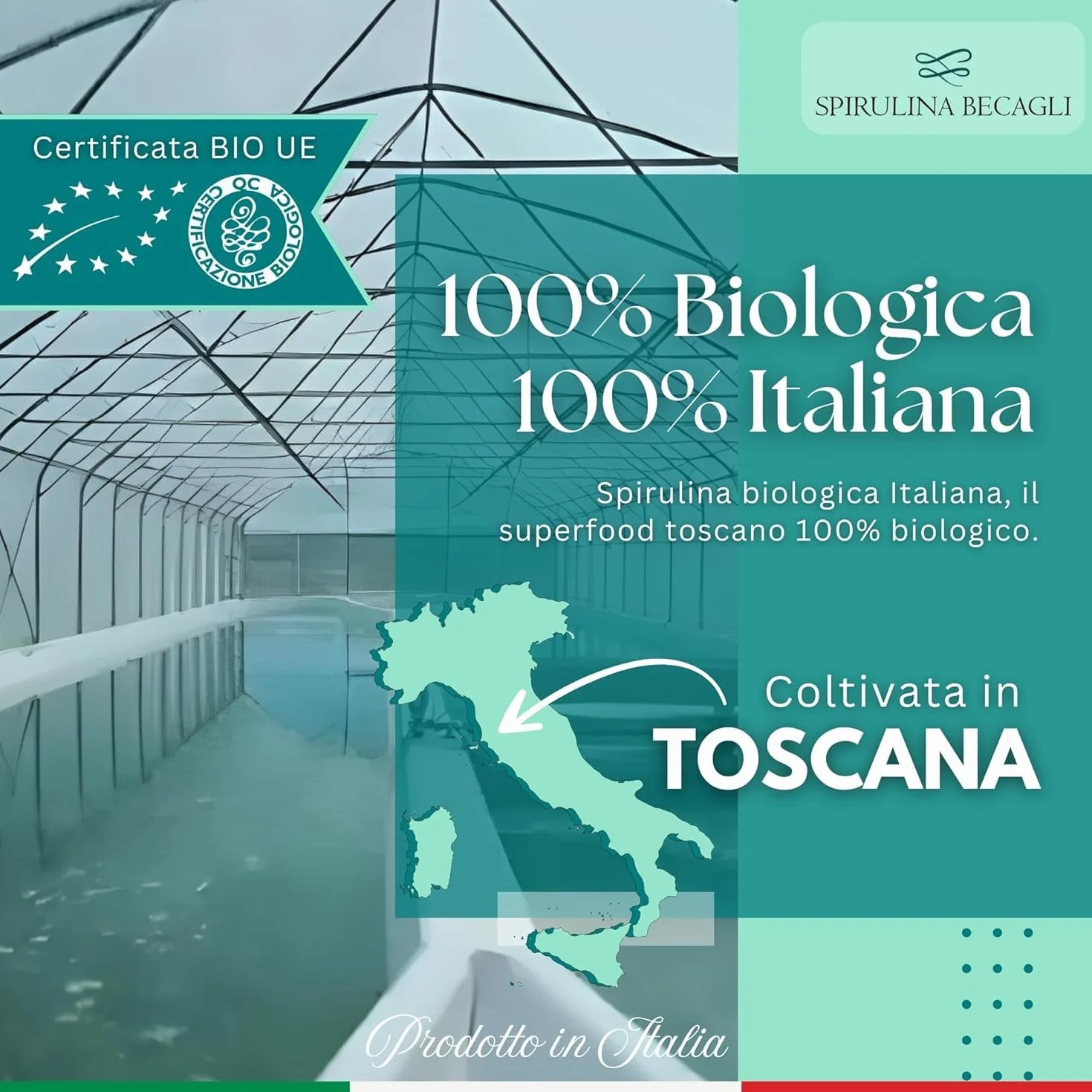 Spirulina Biologica Capsule Integratore Alimentare 100% Vegetale Coltivata in Toscana BECAGLI 180 Capsule