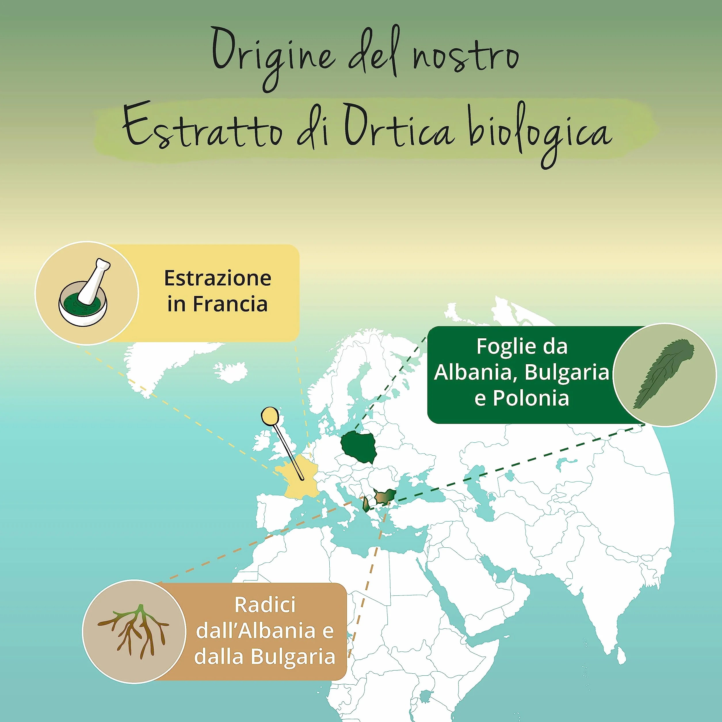 Vegavero ORTICA BIO 450 mg Estratto Radice Foglie Urtica Dioica 120 capsule Prostata Vie Urinarie
