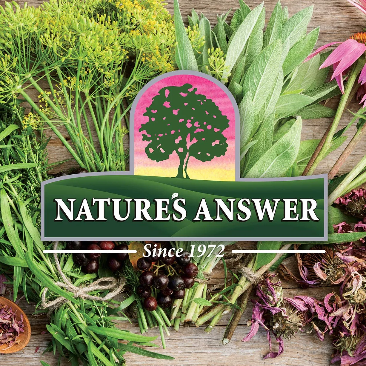Oil of Oregano, Alcohol-Free (30 ml) - Nature's Answer