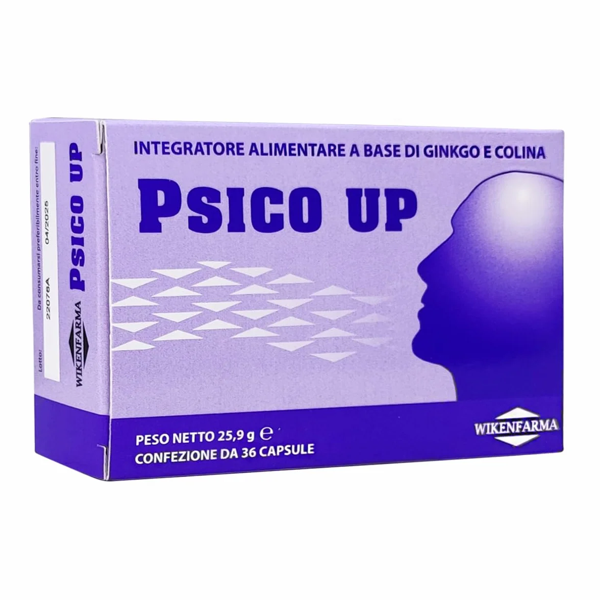 Psico Up Integratore alimentare per la concentrazione e la memoria – Adatto per gli studenti – Ginkgo Biloba e Colina per migliorare le facoltà mentali – Consigliato per lo studio e il lavoro - 36CPS