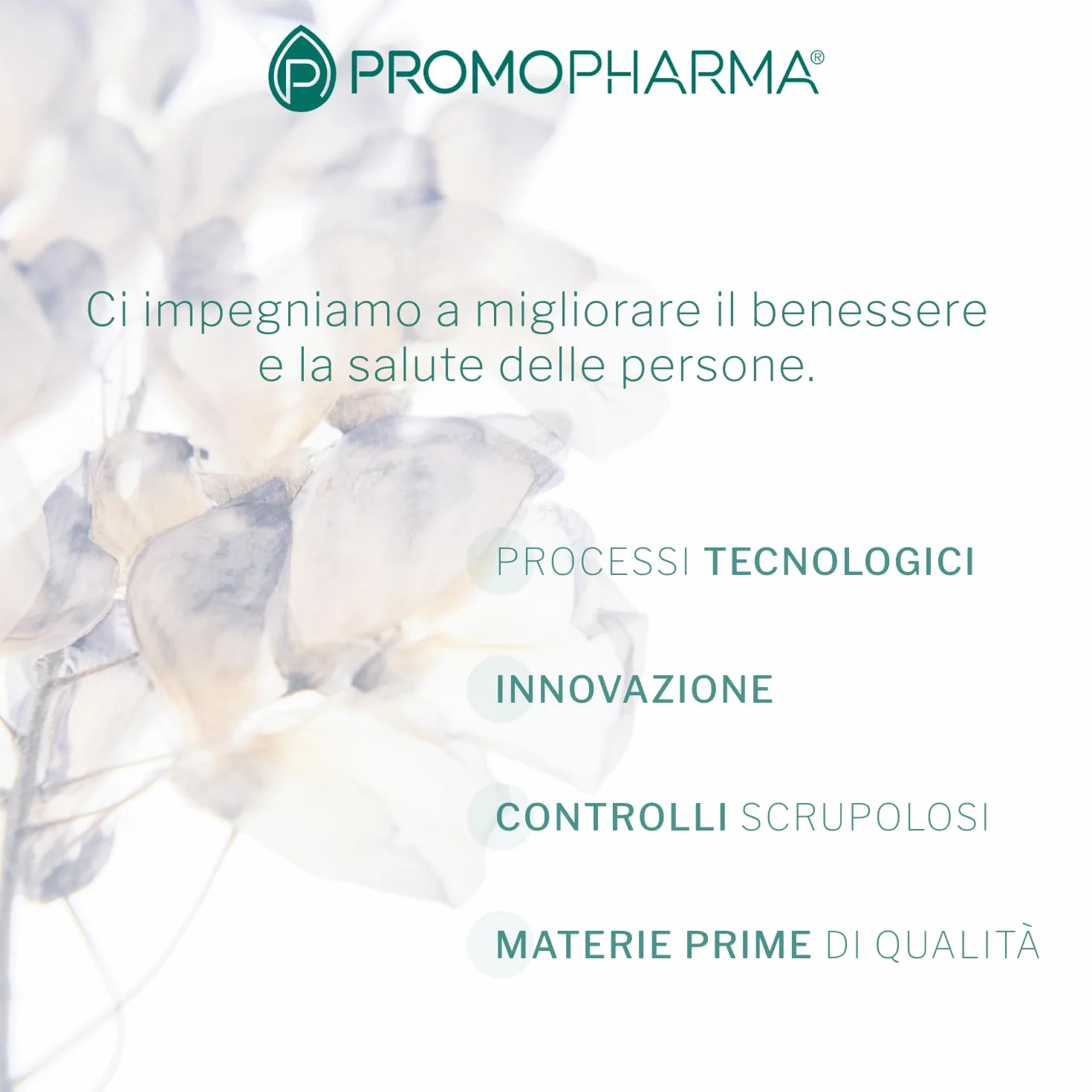 Dimagra Protein Diet - Integratore Proteico Pronto da Bere per Dieta Chetogenica e Controllo del Peso - Low Carb, Alto Contenuto Proteico - Gusto Biscotto - 7 Pouch da 220 g