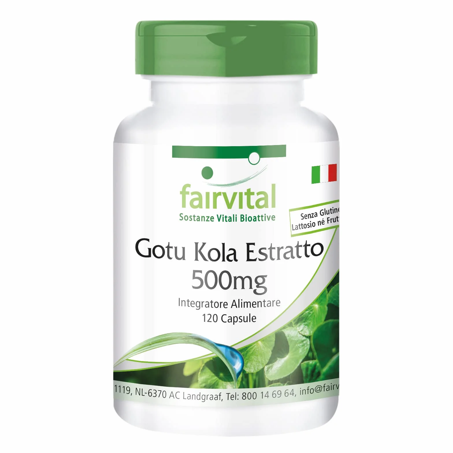 Fairvital Centella Asiatica 120 capsule 500 mg Alto Dosaggio Vegano