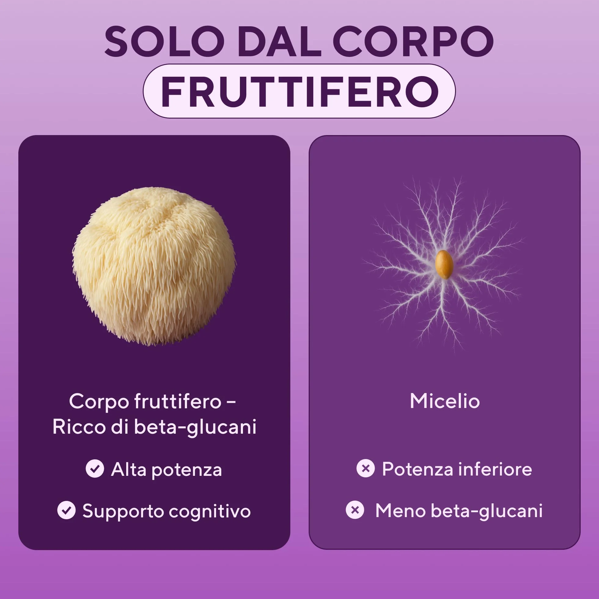 Lions Mane Mushroom Capsule 10.000 mg – Estratto Altamente Concentrato di Hericium Erinaceus 10:1 – Testato in Laboratorio con Certificazione – Integratore Lions Mane – 180 Capsule Vegane