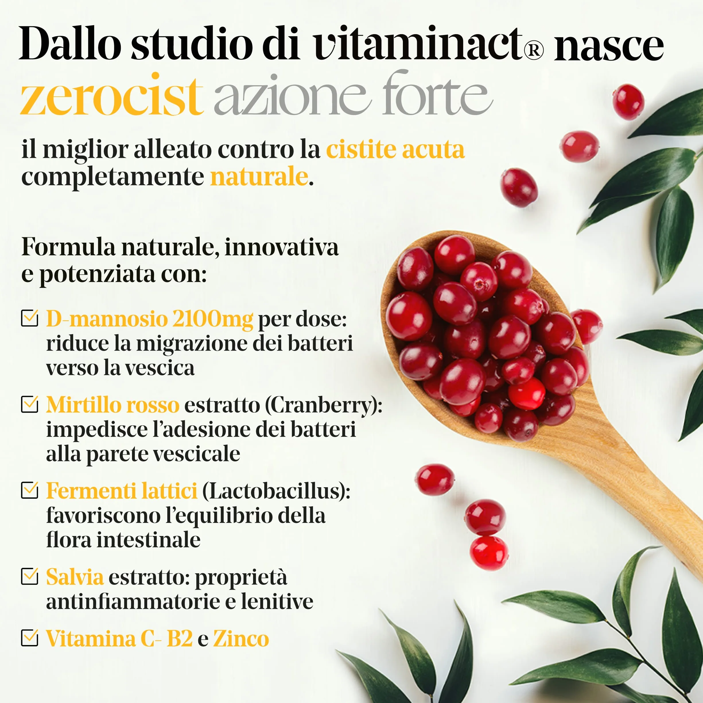 D Mannosio Puro Mirtillo Rosso Lactobacillus per Infezioni Vie Urinarie Candida con Salvia Vitamine C B2 Zinco