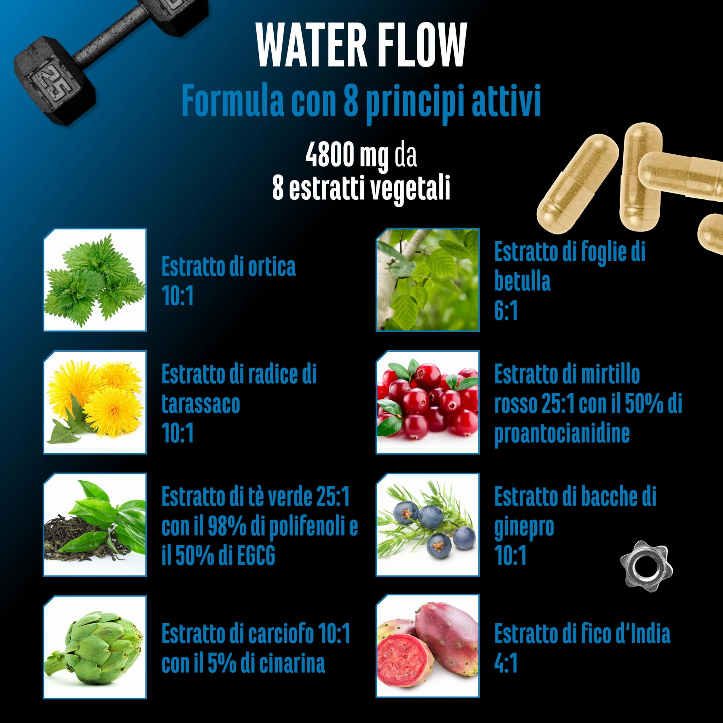 Water Flow Complex 180 capsule ortica tarassaco tè verde carciofo cranberry formula vegetale vegano alto dosaggio